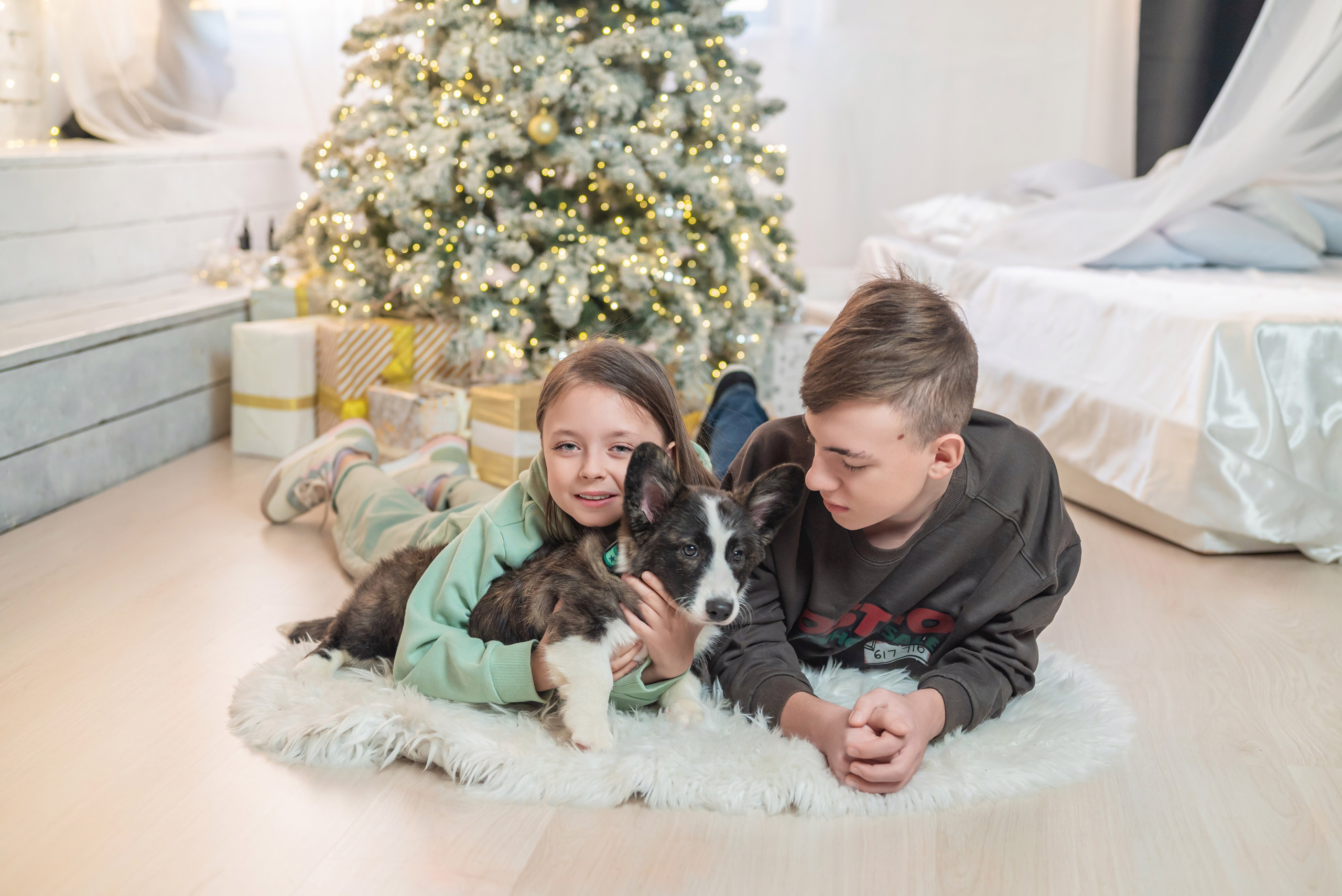 Фотопроект с корги. Фотограф в городе Салават