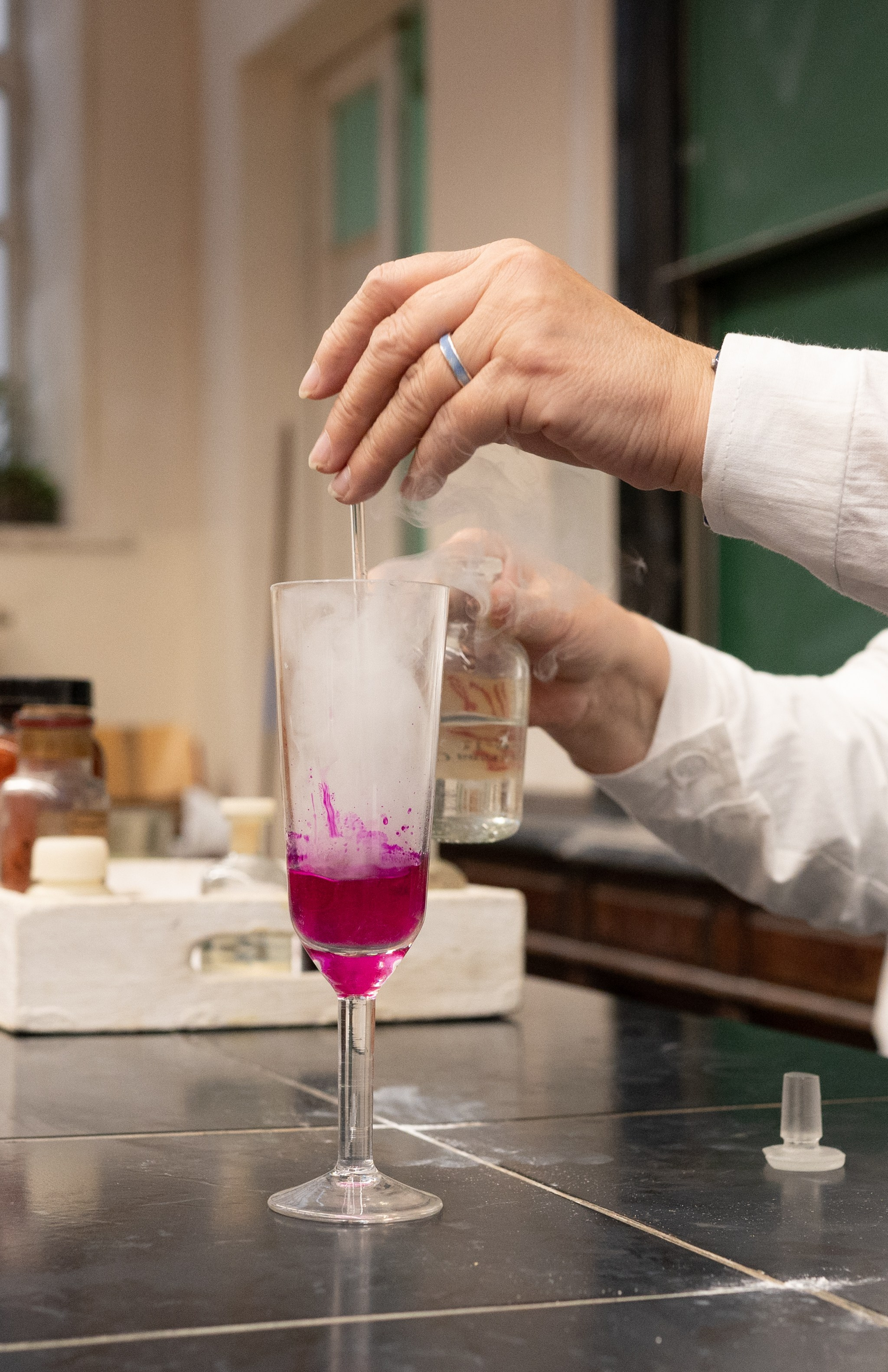 День открытых дверей. Фотограф в Санкт-Петербурге Anna Balashkova