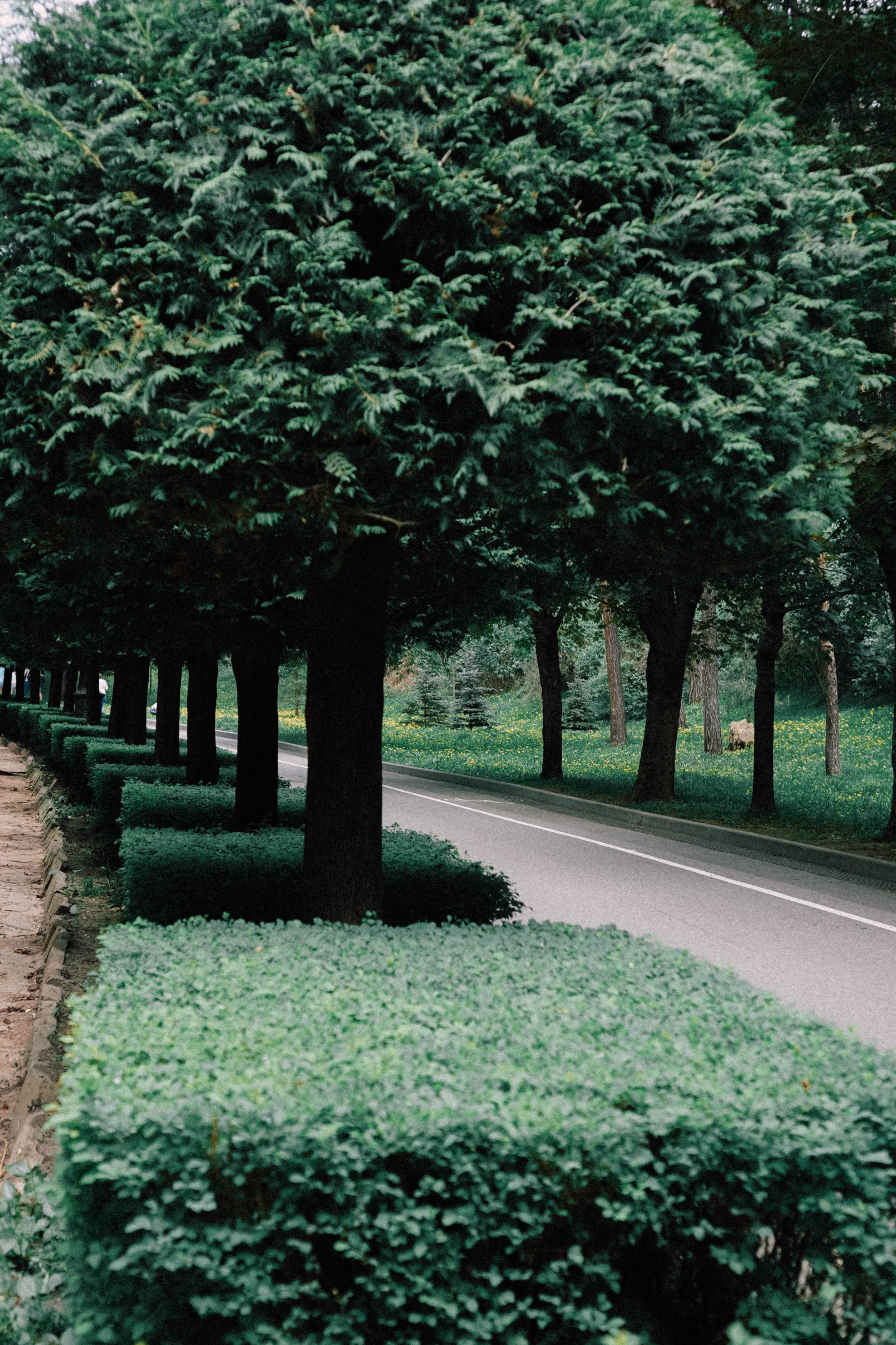 КИСЛОВОДСК. Профессиональный фотограф, Санкт-Петербург — Виктория Богомолова