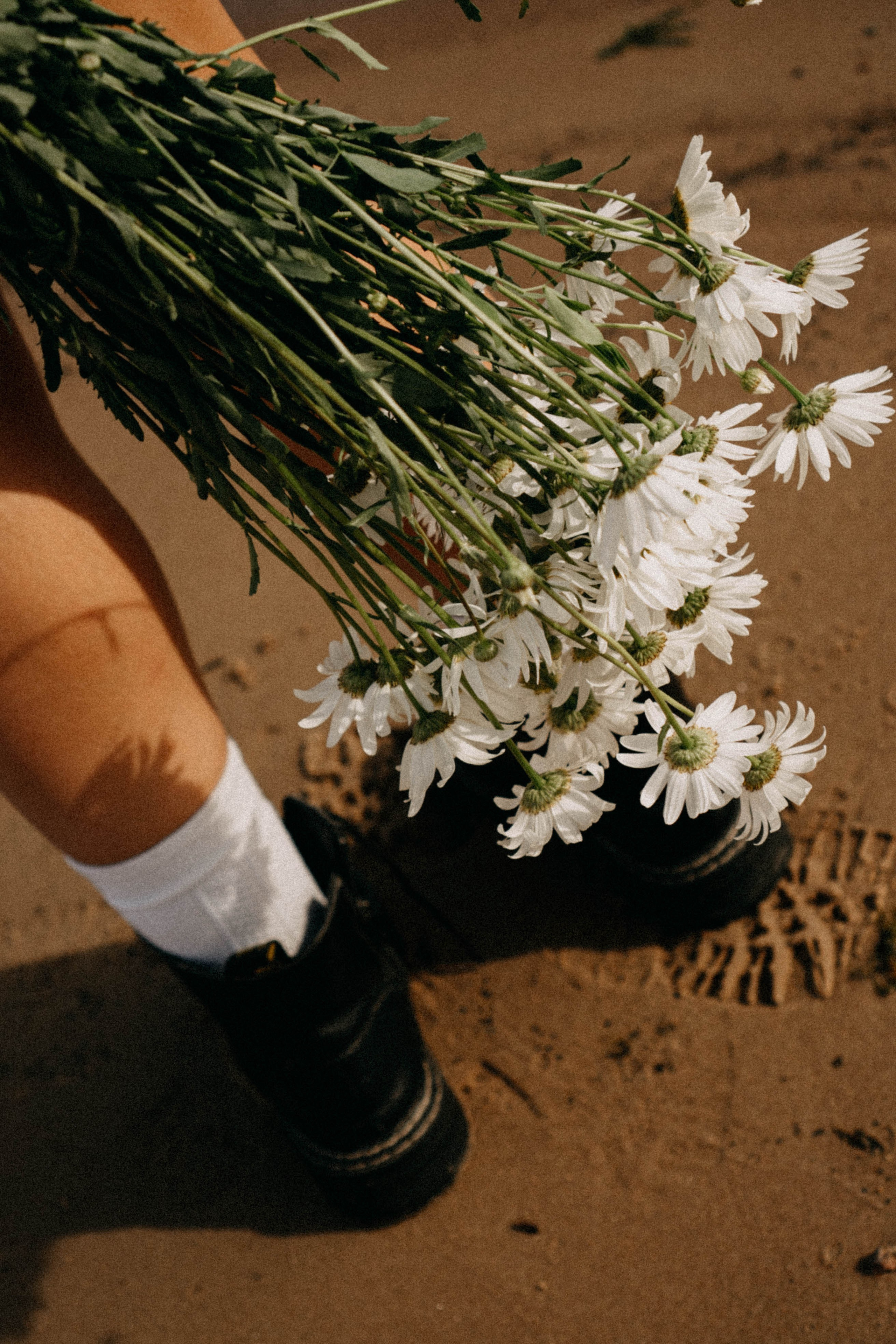 Летняя прогулка. Профессиональный фотограф, Санкт-Петербург — Виктория Богомолова