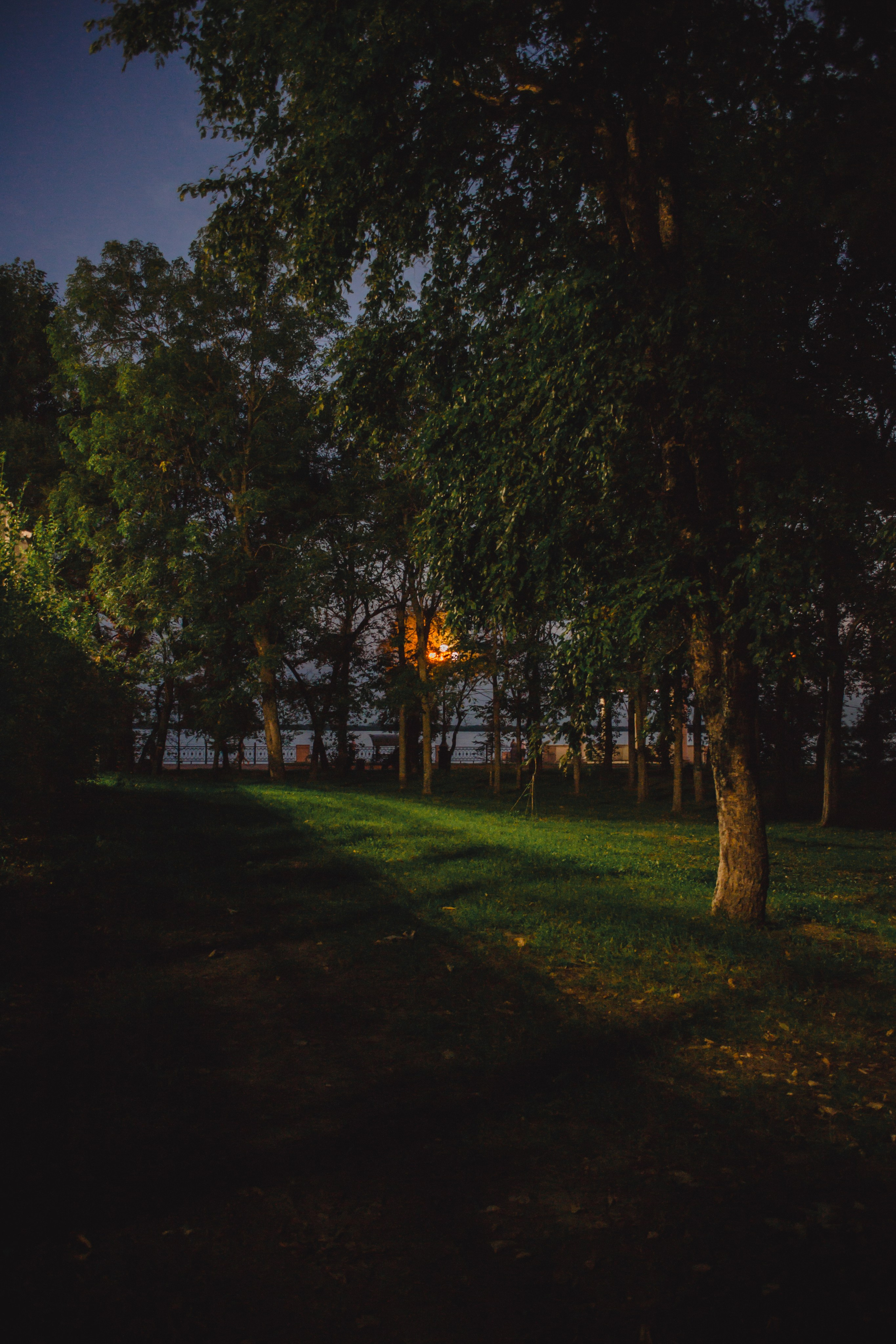 дачи, город, архитектура, стрит, репортажная фотография, фотография, Хабаровск, фотосессия, фотограф, дом, новостройка, улицы, жизнь города, town, art, photo, photographer, photo, Khabarovsk, Far East, street photo