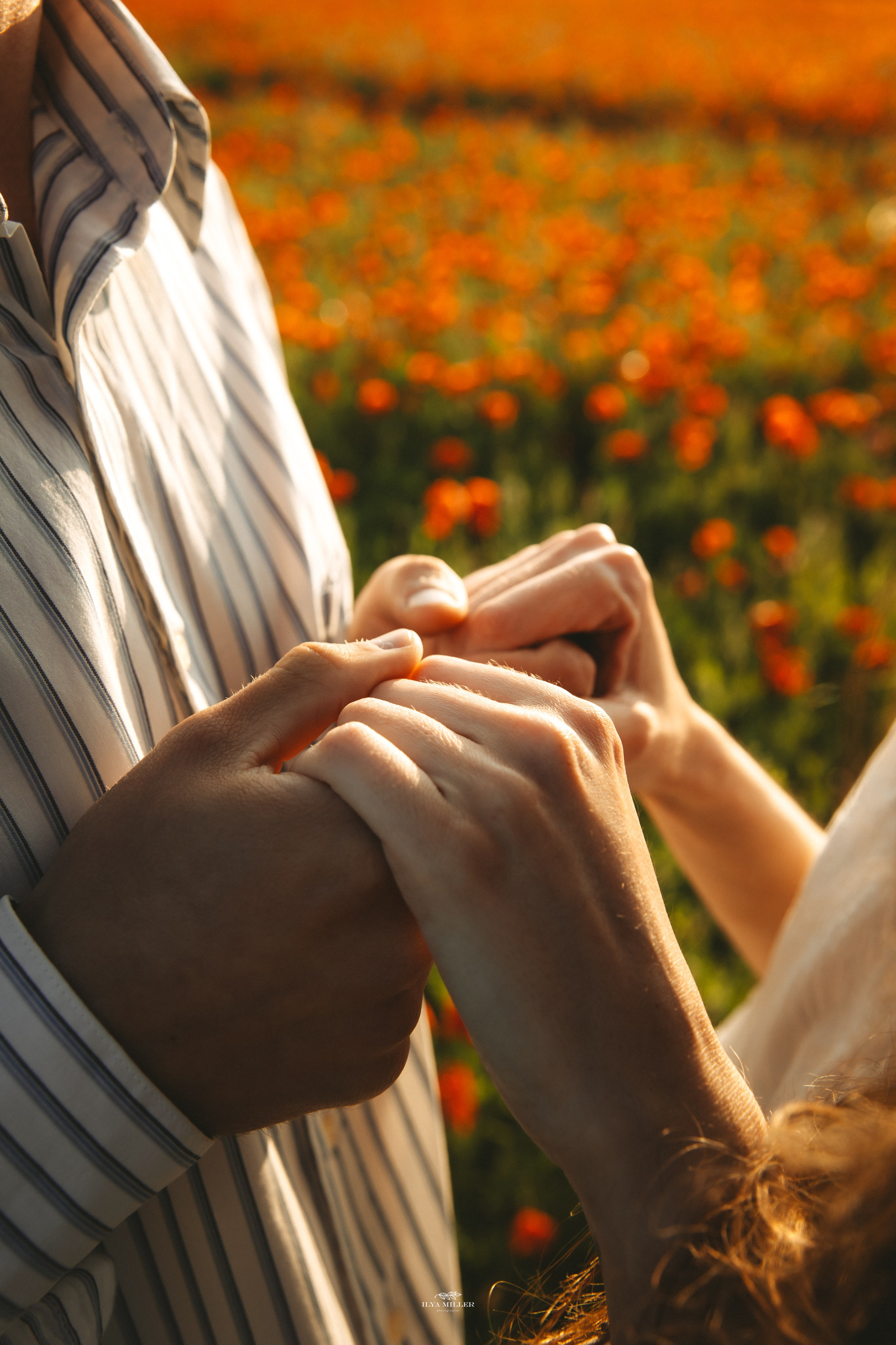 Дина и Влад / Маковые поля. Фотограф Калининград Илья Миллер