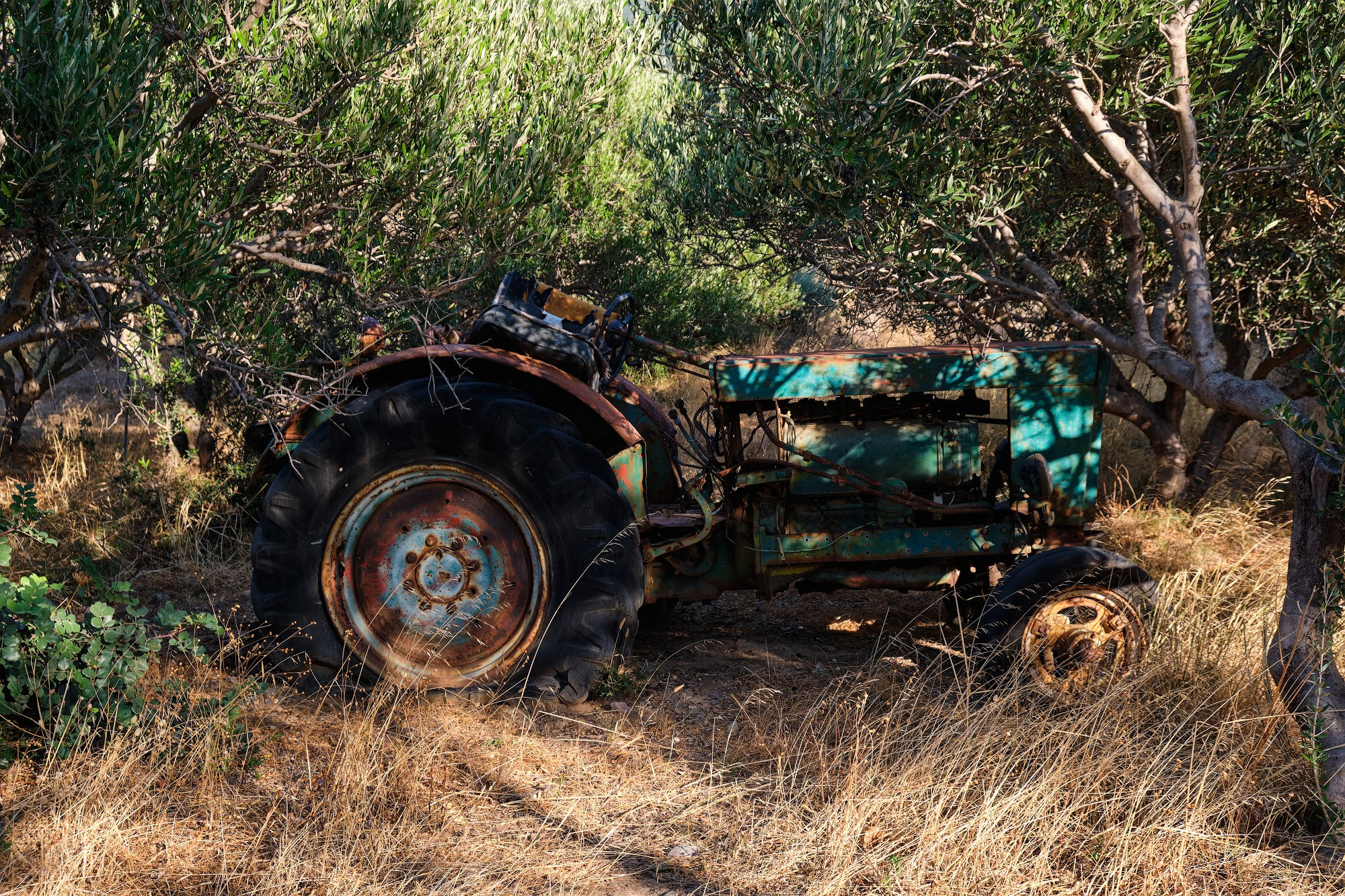 Крит 2019. Репортажный фотограф Дмитрий Литвинский. Минск, Беларусь, мир