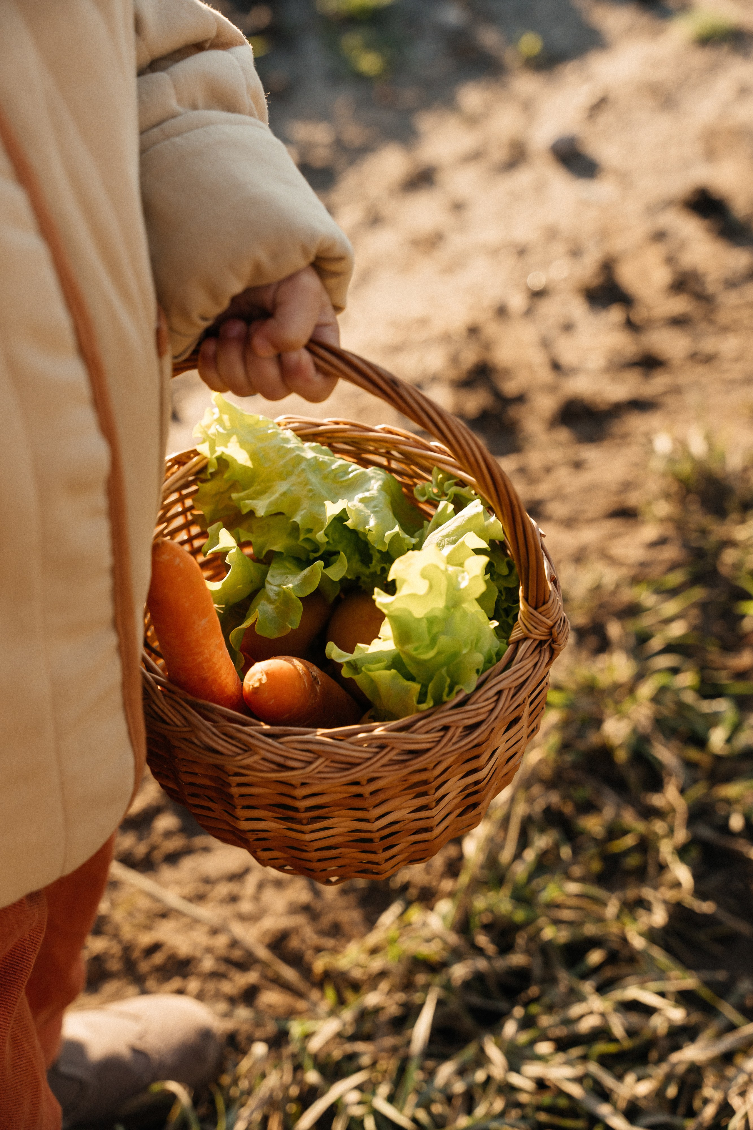 Воробьёвы-Кашницкие. Семейный фотограф в Санкт-Петербурге Виталия Белова