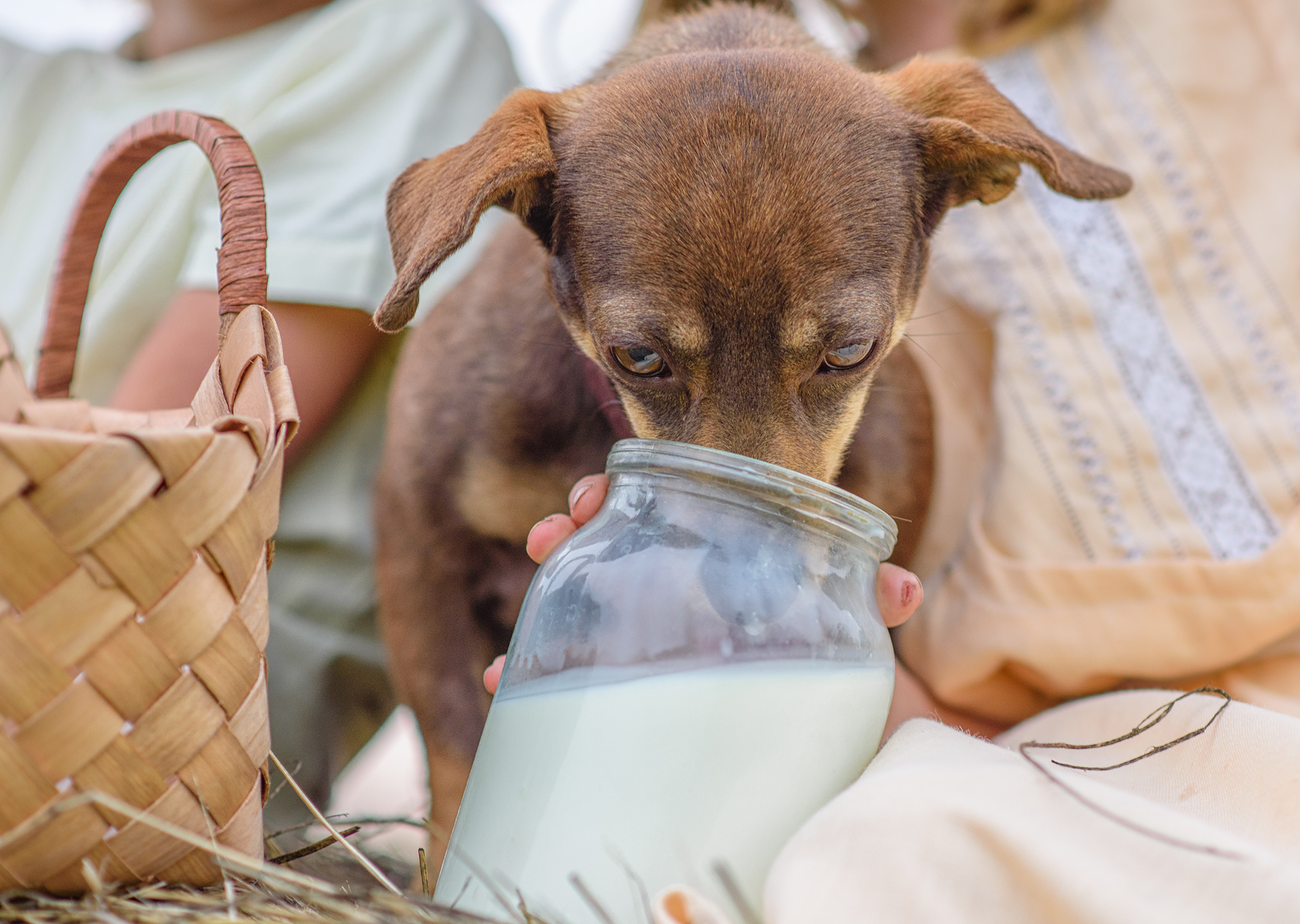 Фотосессия в полях. Фотограф в Болгарии. Фотограф в Созополе