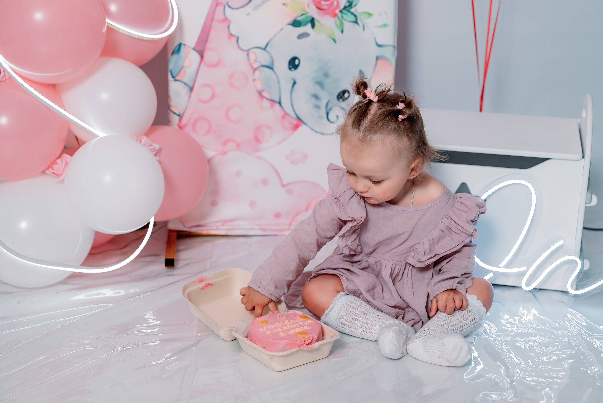 Годовасие. Фотограф Алёна Царькова. Киселевск