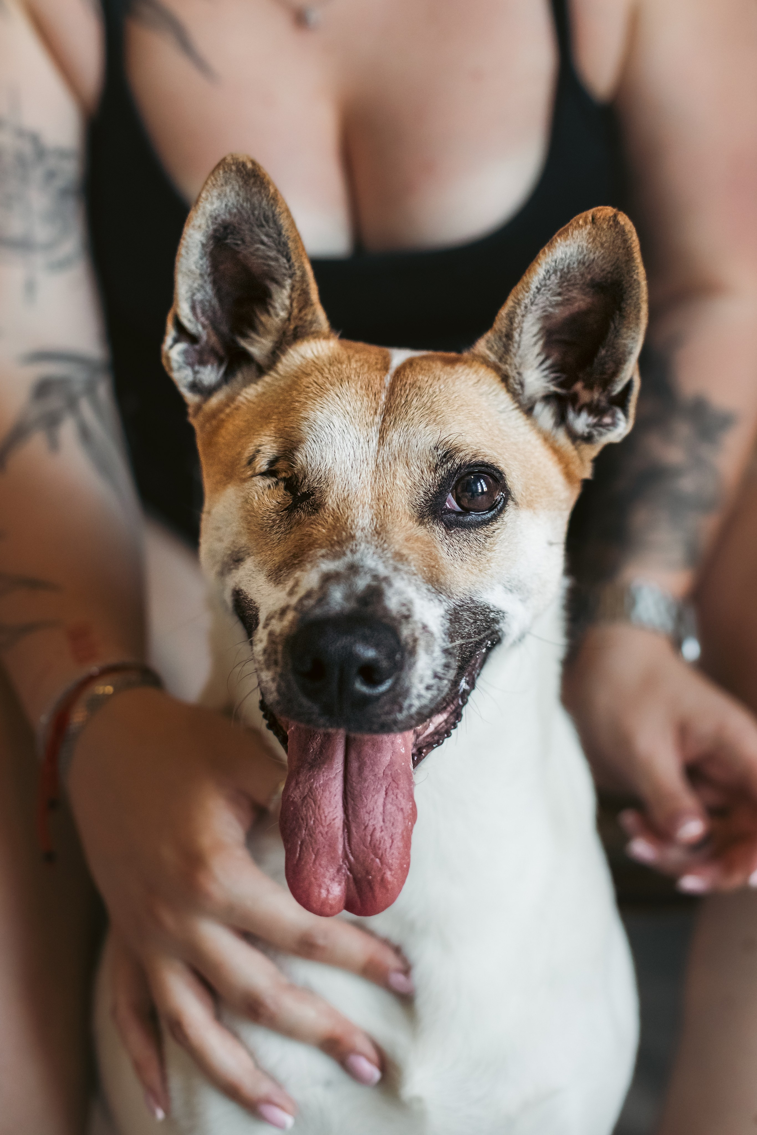 Полина и Альвильда. Фотограф-анималист Татьяна Степанова