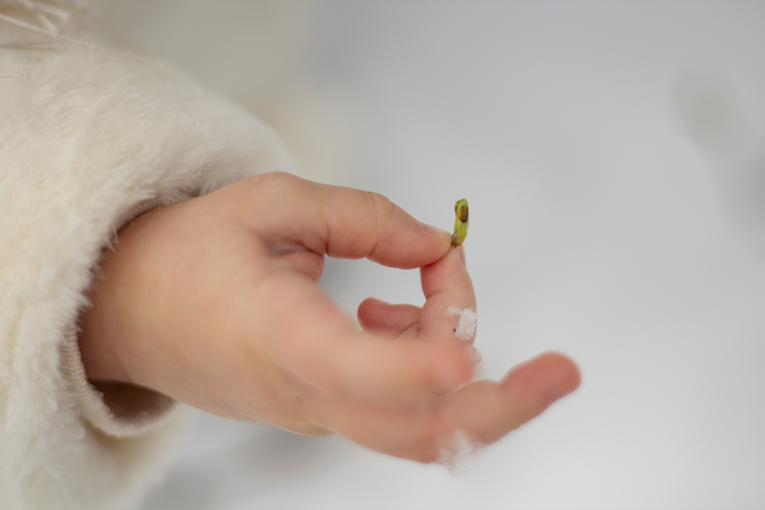 Детская фотография. Семейный и детский фотограф в Москве Анастасия Крейнина