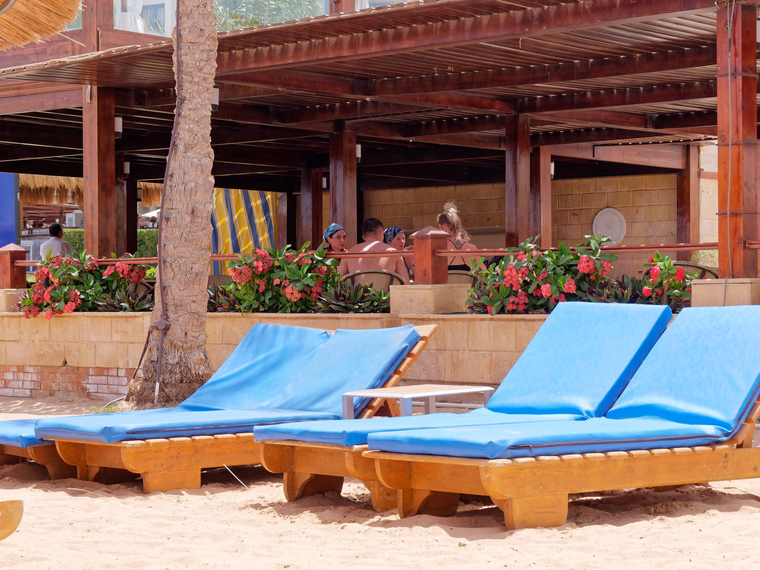 Шарм-эль-Шейх 2022 (2). Избранные фотографии