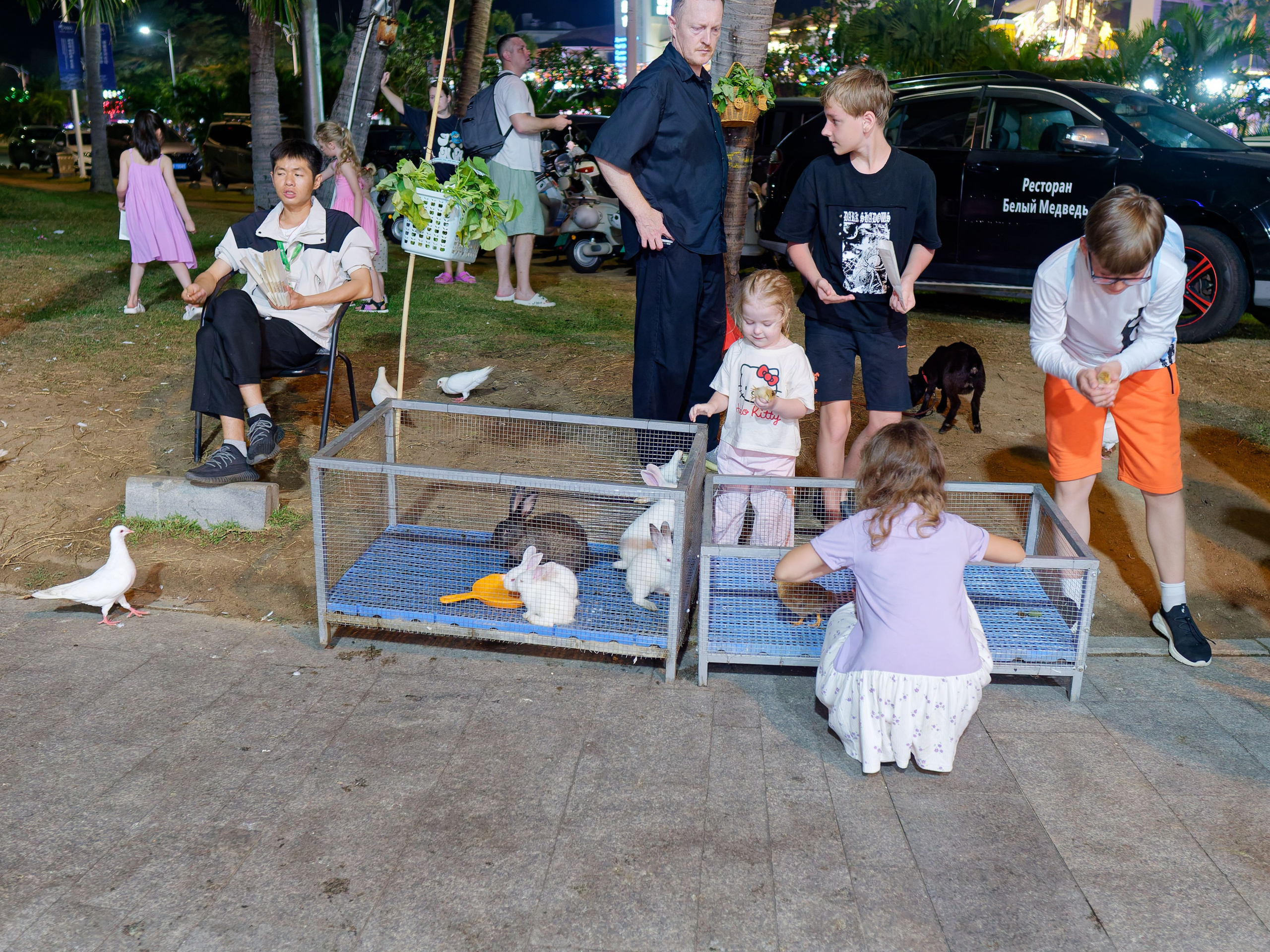 Хайнань 2026, Большой ночной базар в Ялунване. Фотопрогулки по Миру