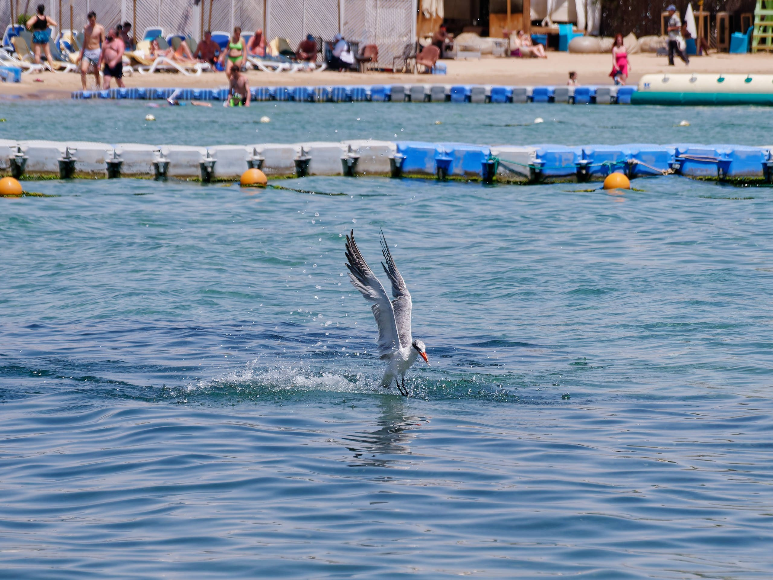 Шарм-эль-Шейх 2022 (1). Избранные фотографии