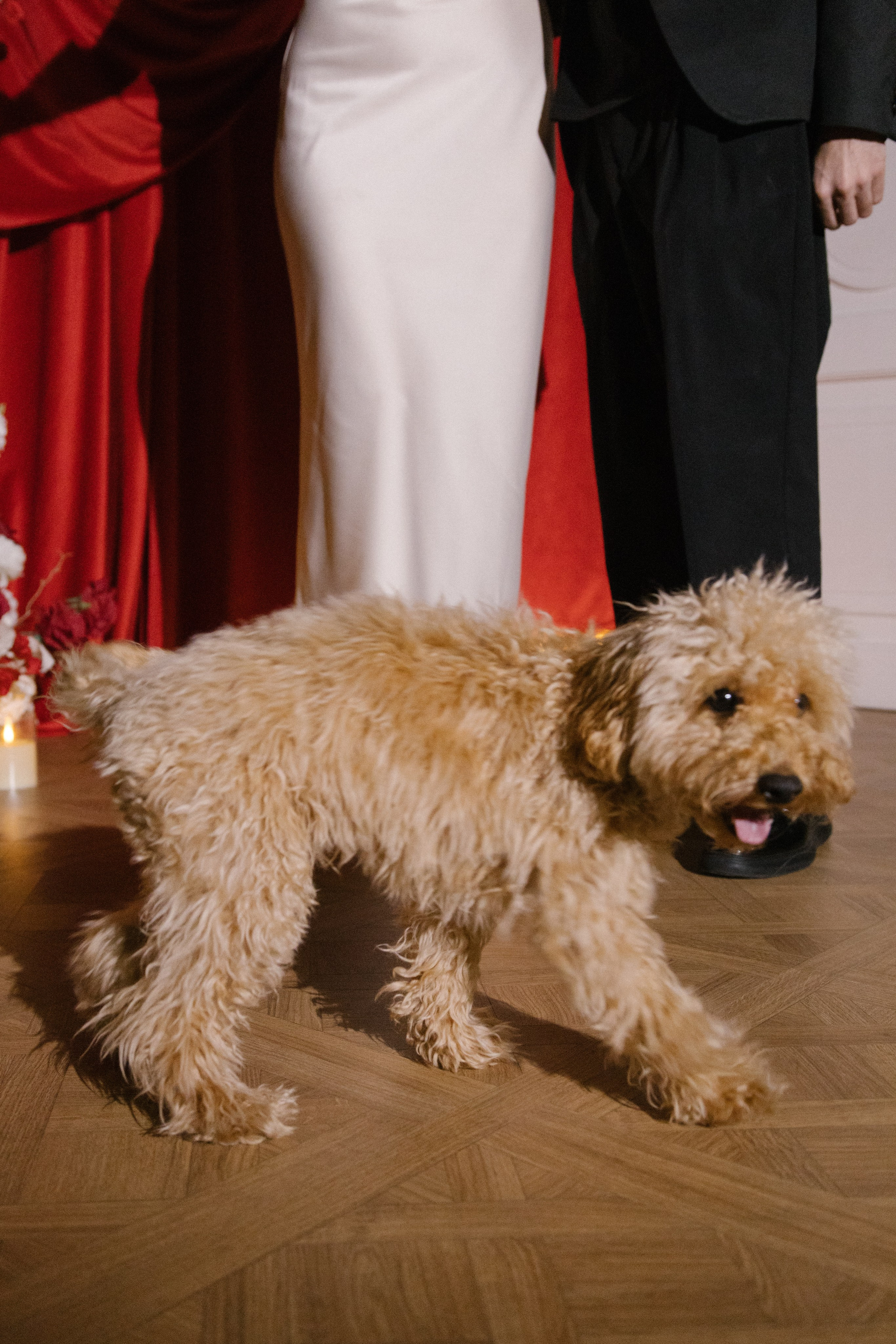 Ростислав и Виктория