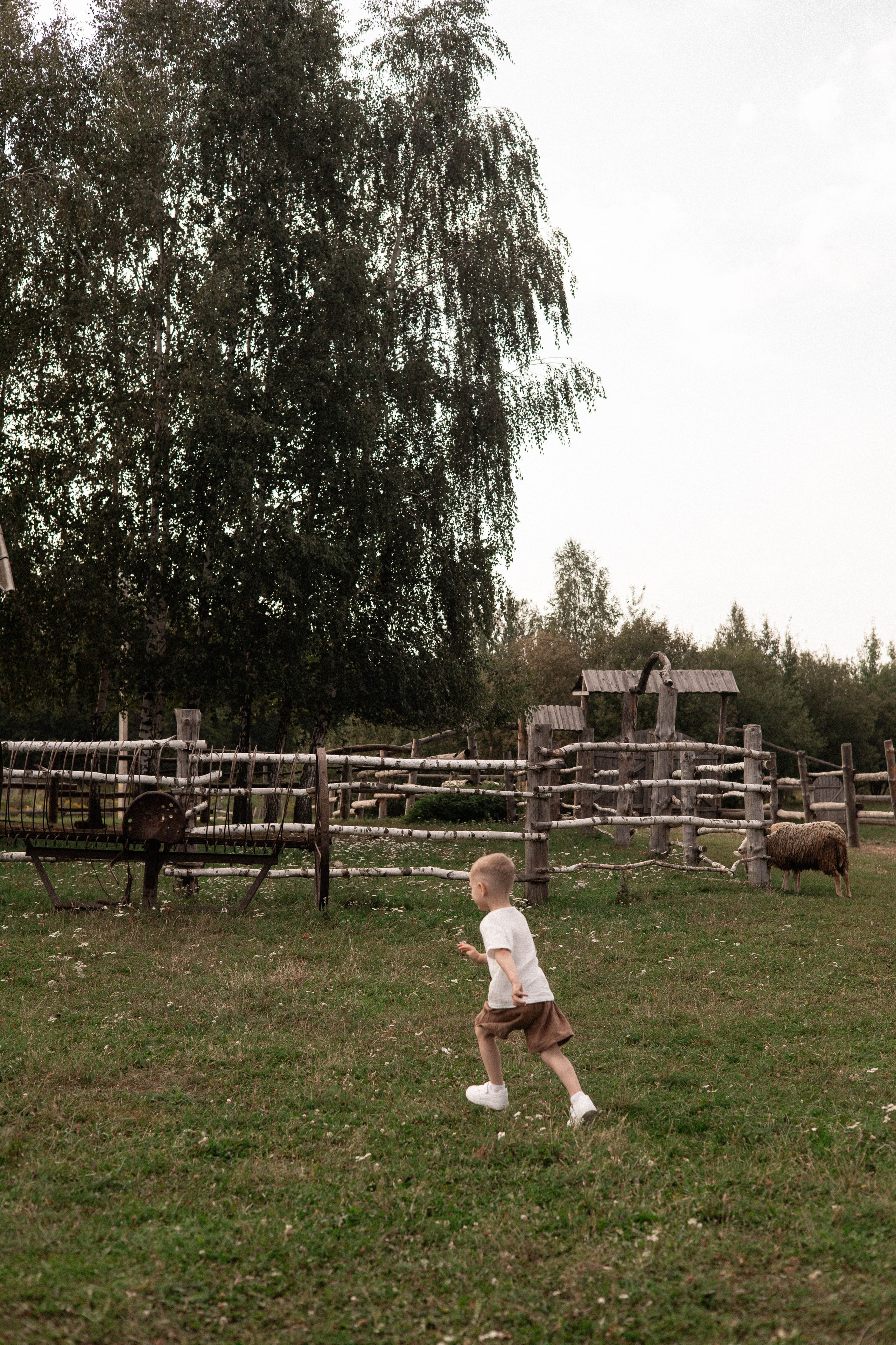 Давид, Настя и Дима. Свадебный и портретный фотограф Соломко Диана