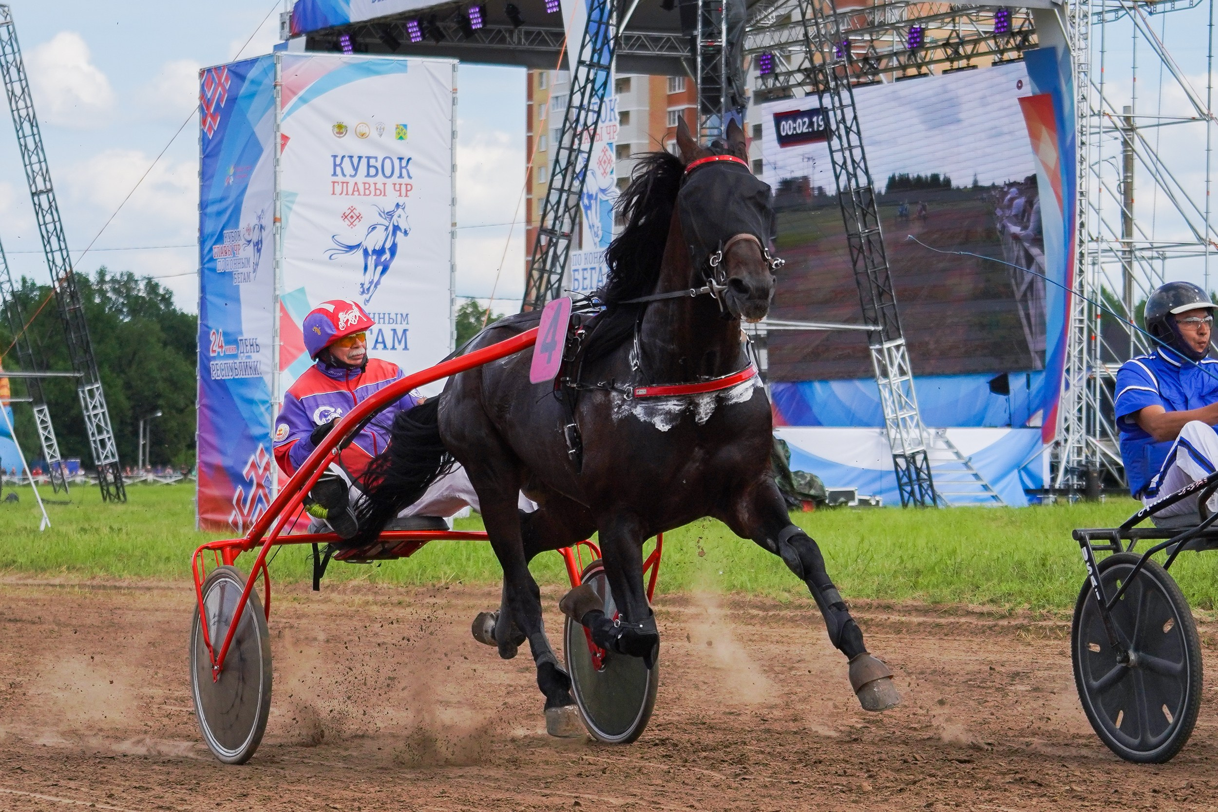 III конные бега на Кубок Главы Чувашии. Фотограф-анималист, портретный фотограф в Чебоксарах Мария Садыкова