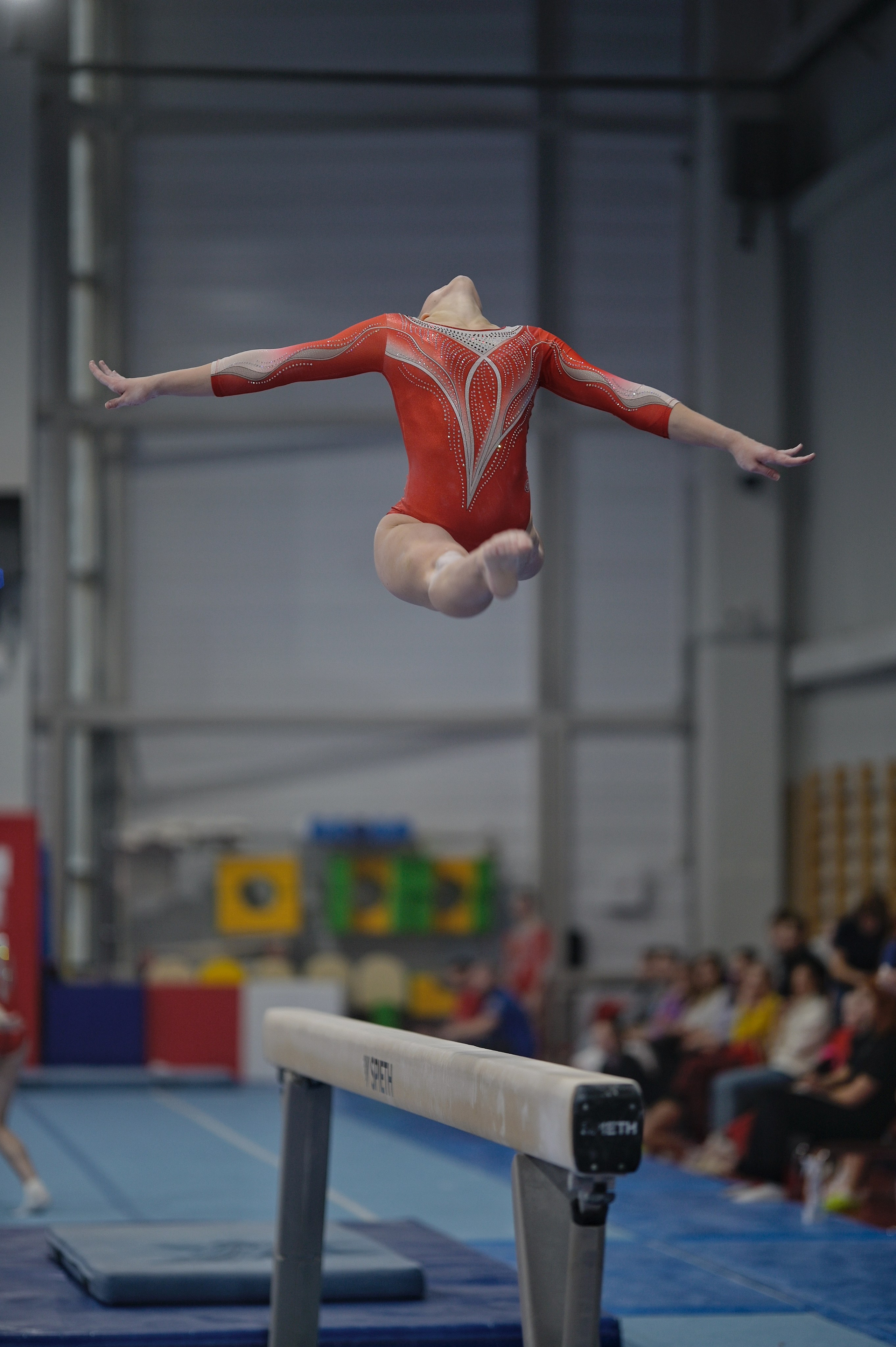 Турнир по спортивной гимнастике Е. М. Замолодчиковой. Фотограф Ваших событий 📸