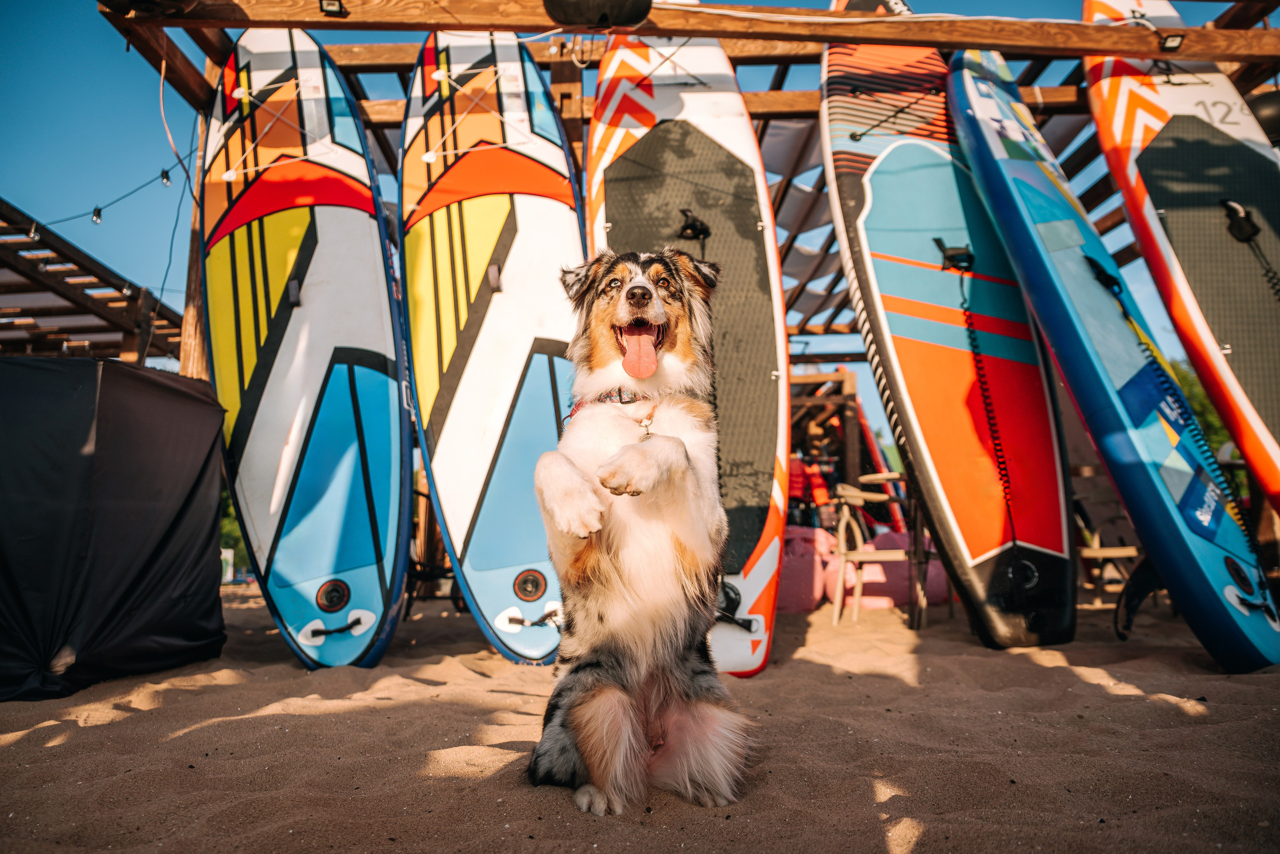 No Bad Days. Главная