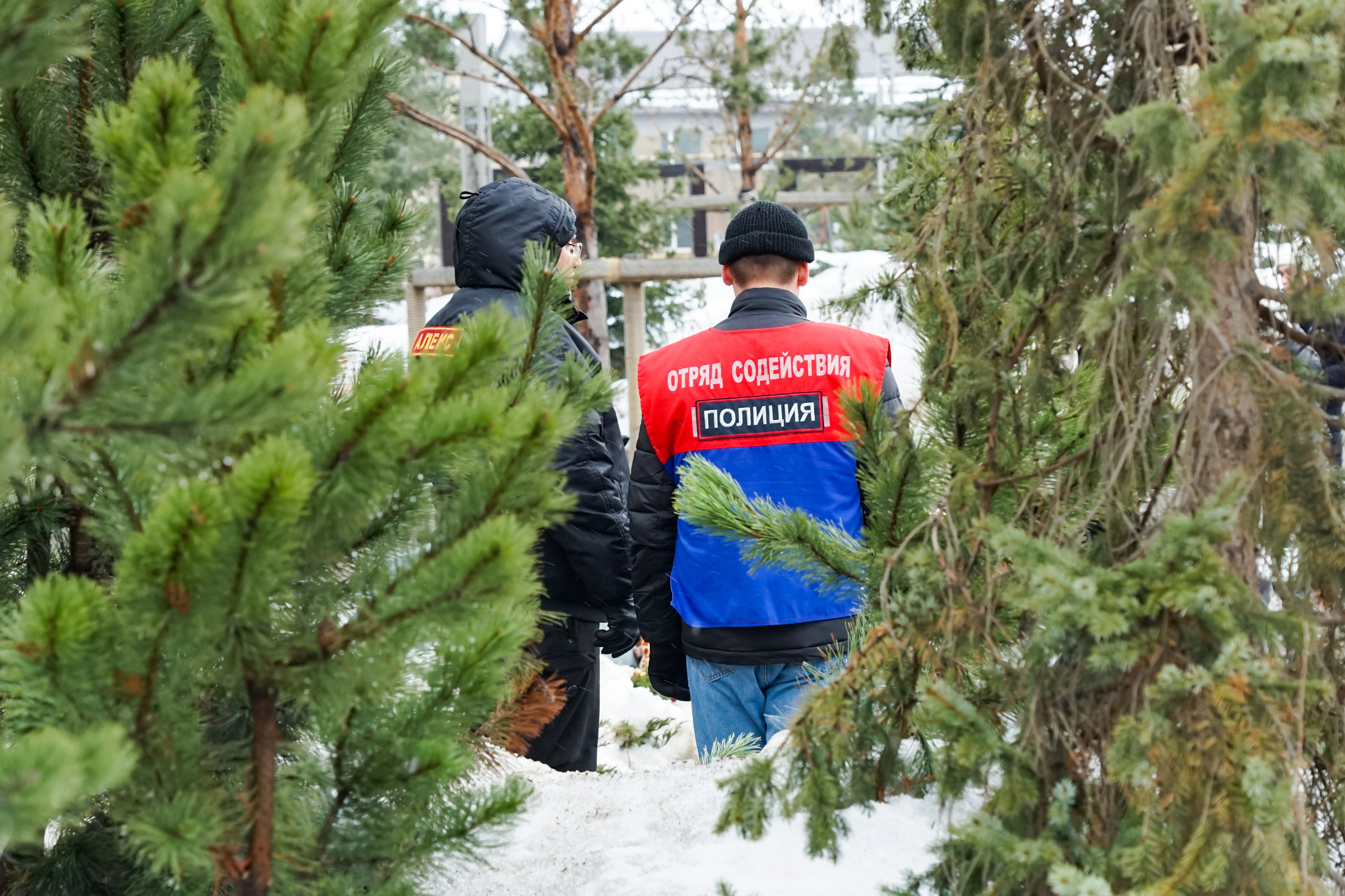 «Парк Ангелов: 25.03.2024». Фотограф Кемерово