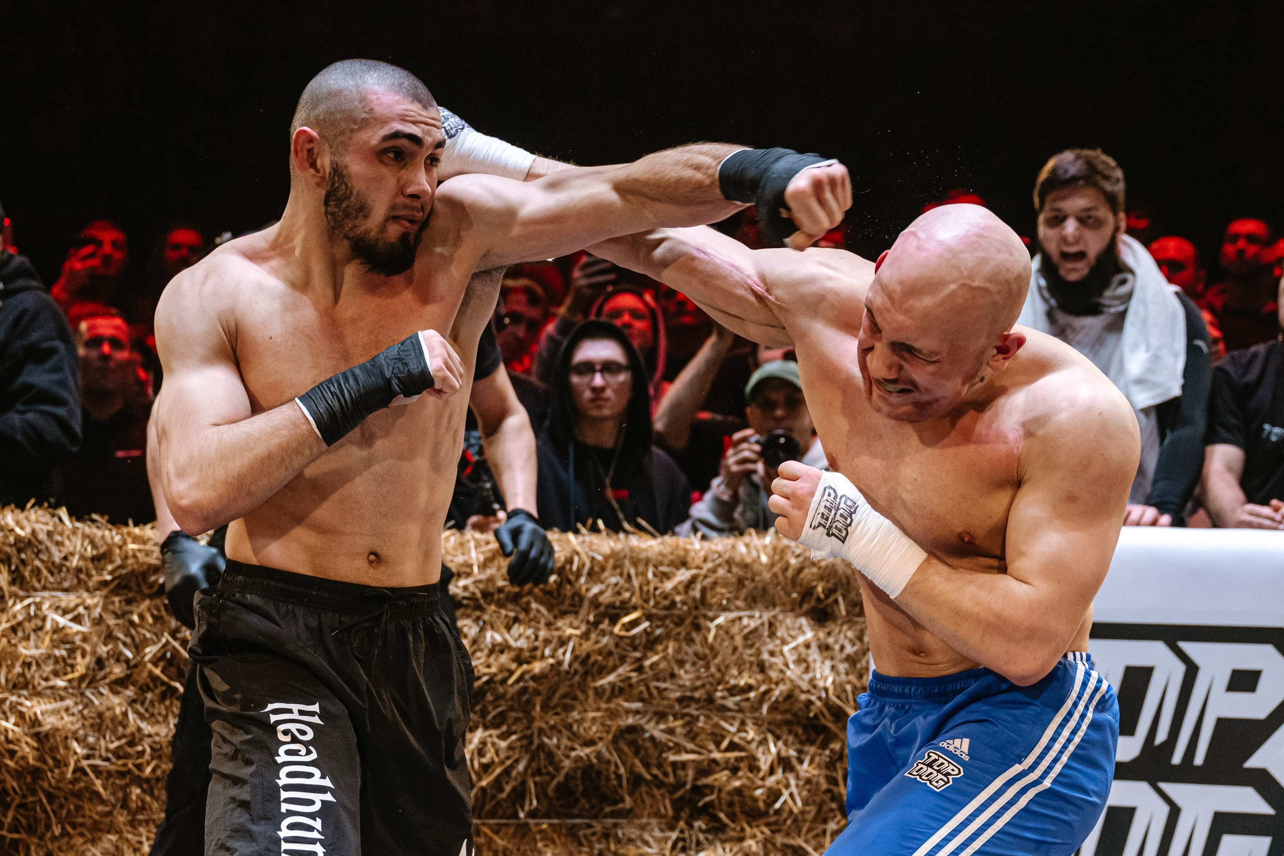 TOP DOG 2. Максим Комаров — Профессиональный фотограф