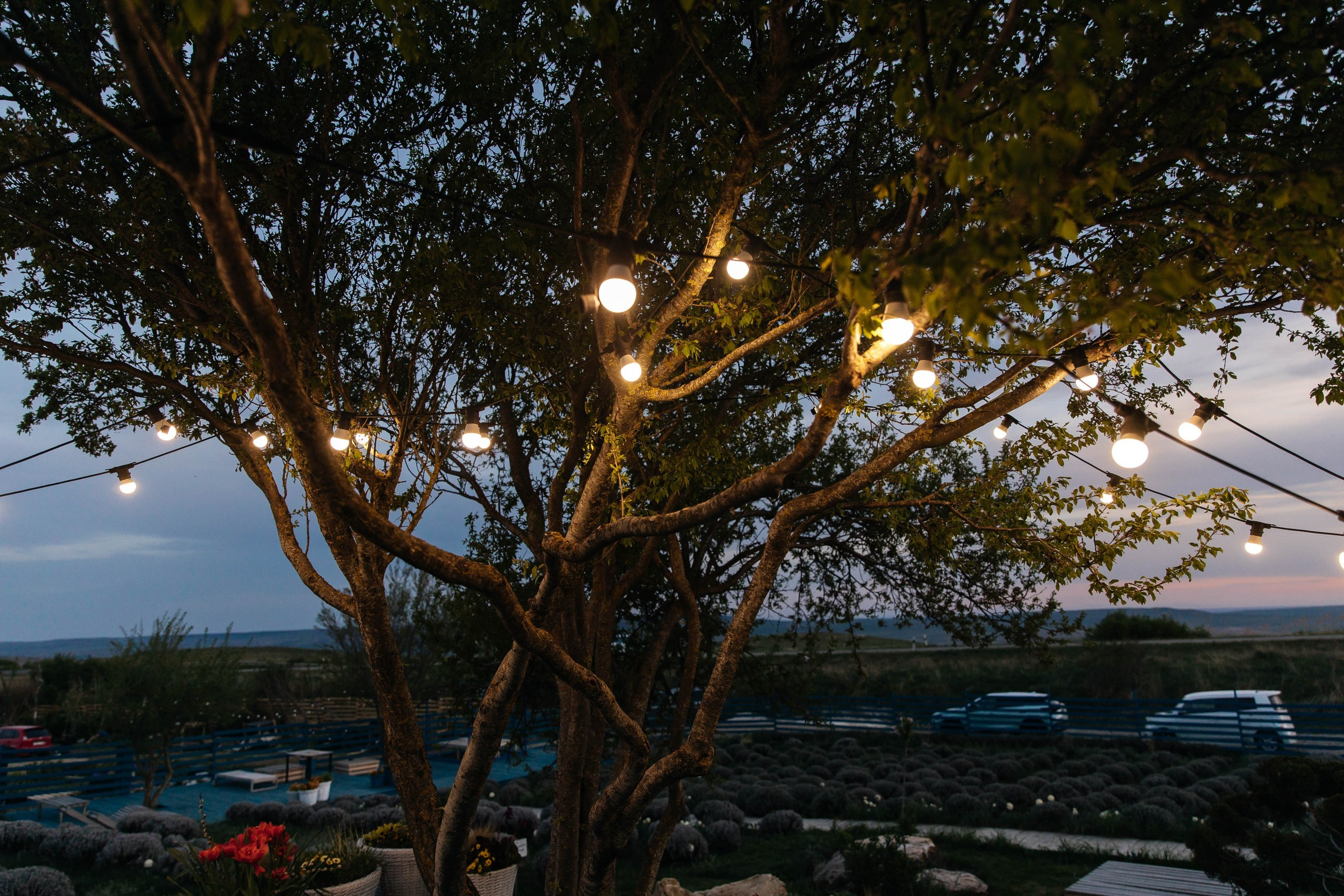 Антон и Анна. Фотограф Лиходедова Анастасия