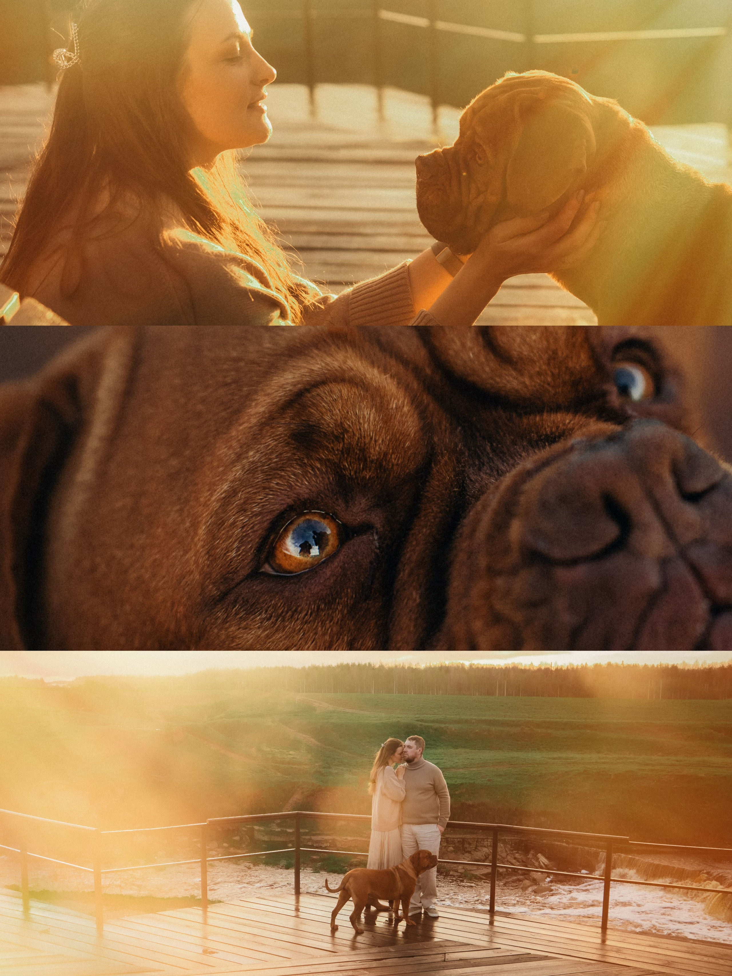 Оксана, Иван и Мандаринка. Фотограф анималист в Москве и Санкт-Петербурге Свиридова Анна