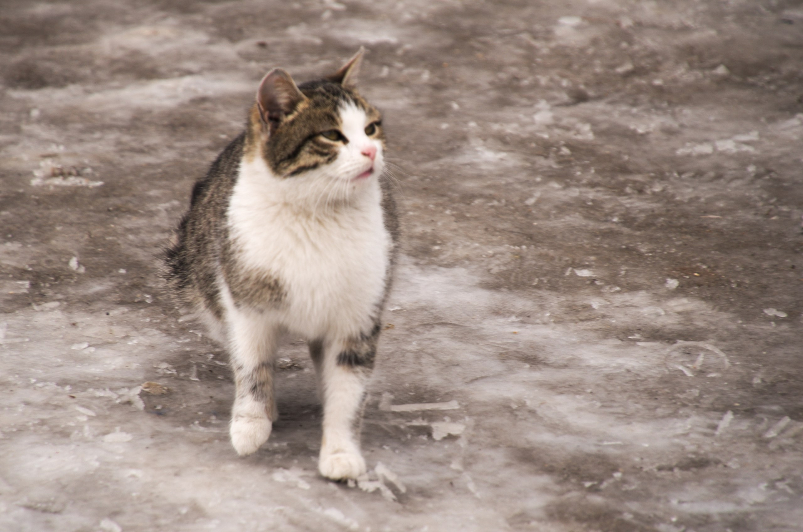 Казань | 24-26.03.2017. Галерея Фантим