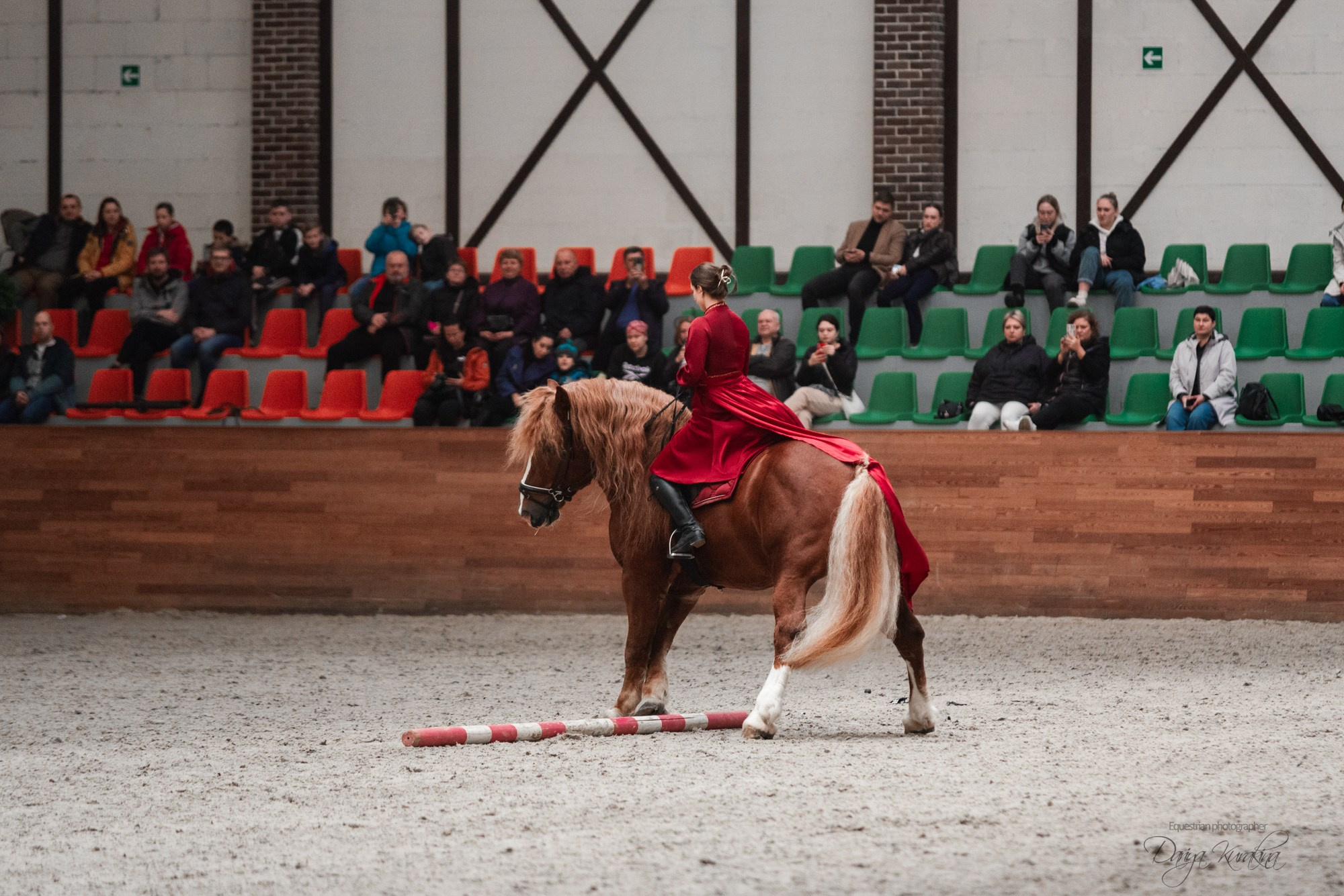 8-я международная выставка Конная Россия. Конный фотограф Куракина Дарья • Фотосессии с лошадьми