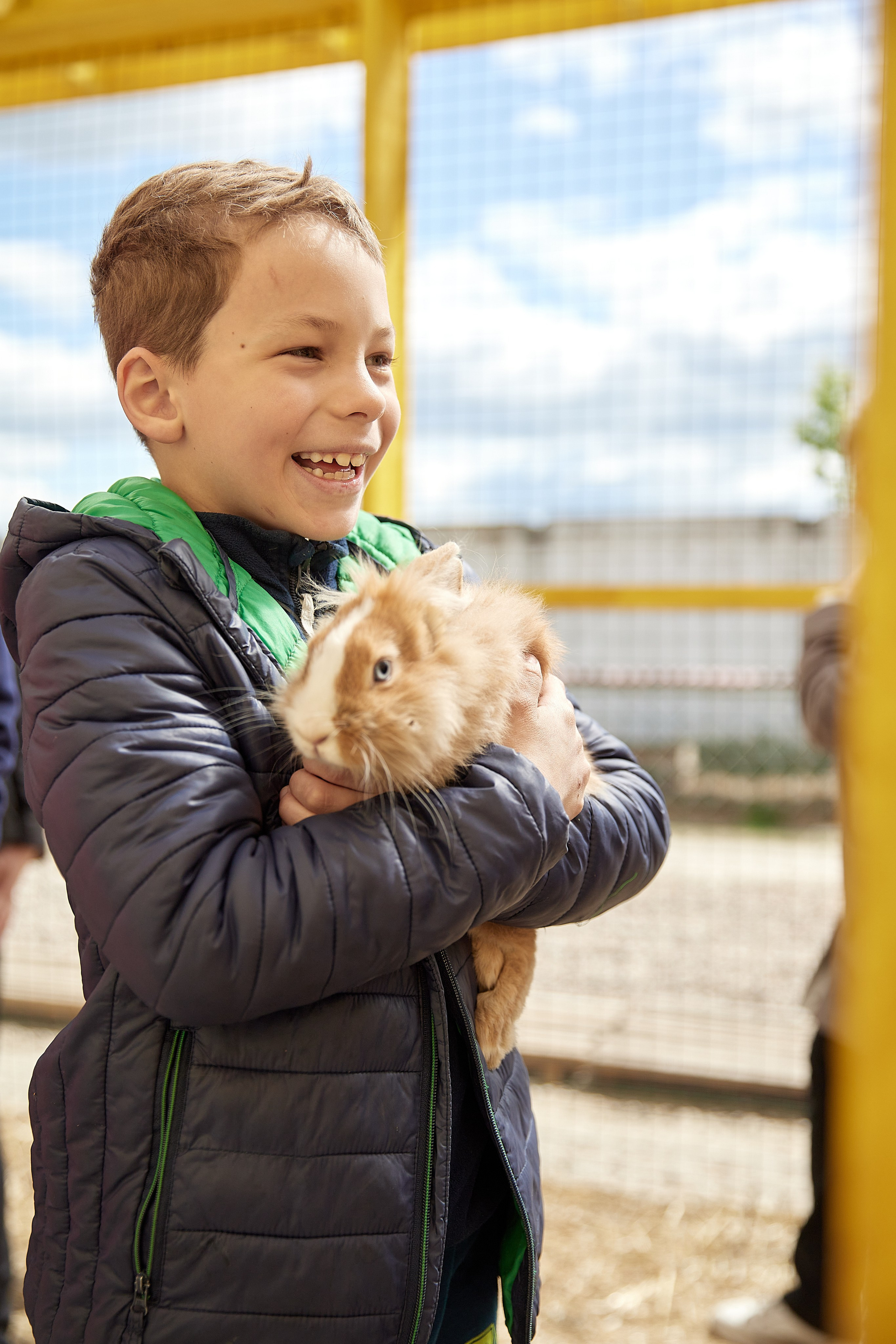 На ферме. Главная