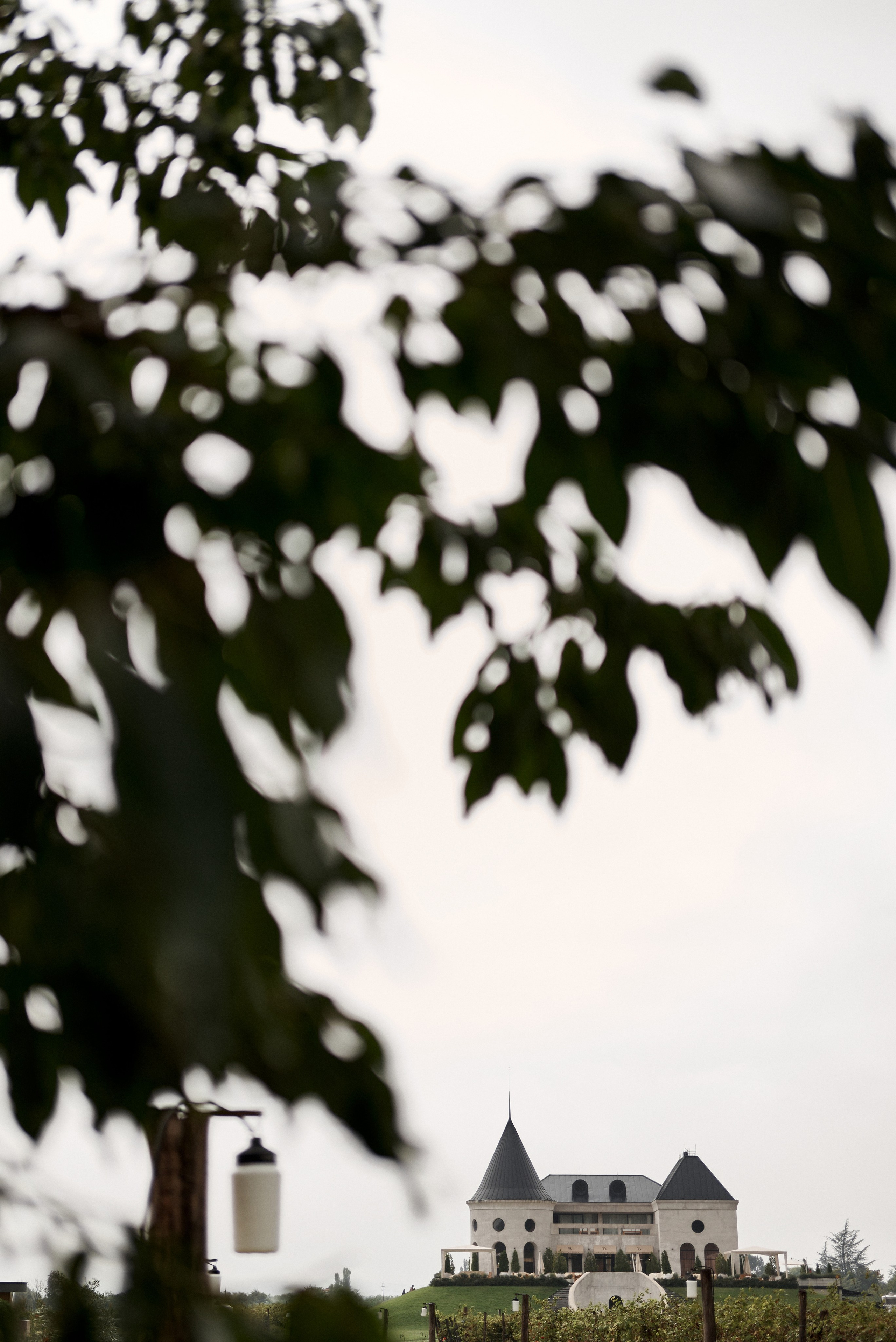 Michael & Dinara. Свадебный и портретный фотограф Пётр Ладанов