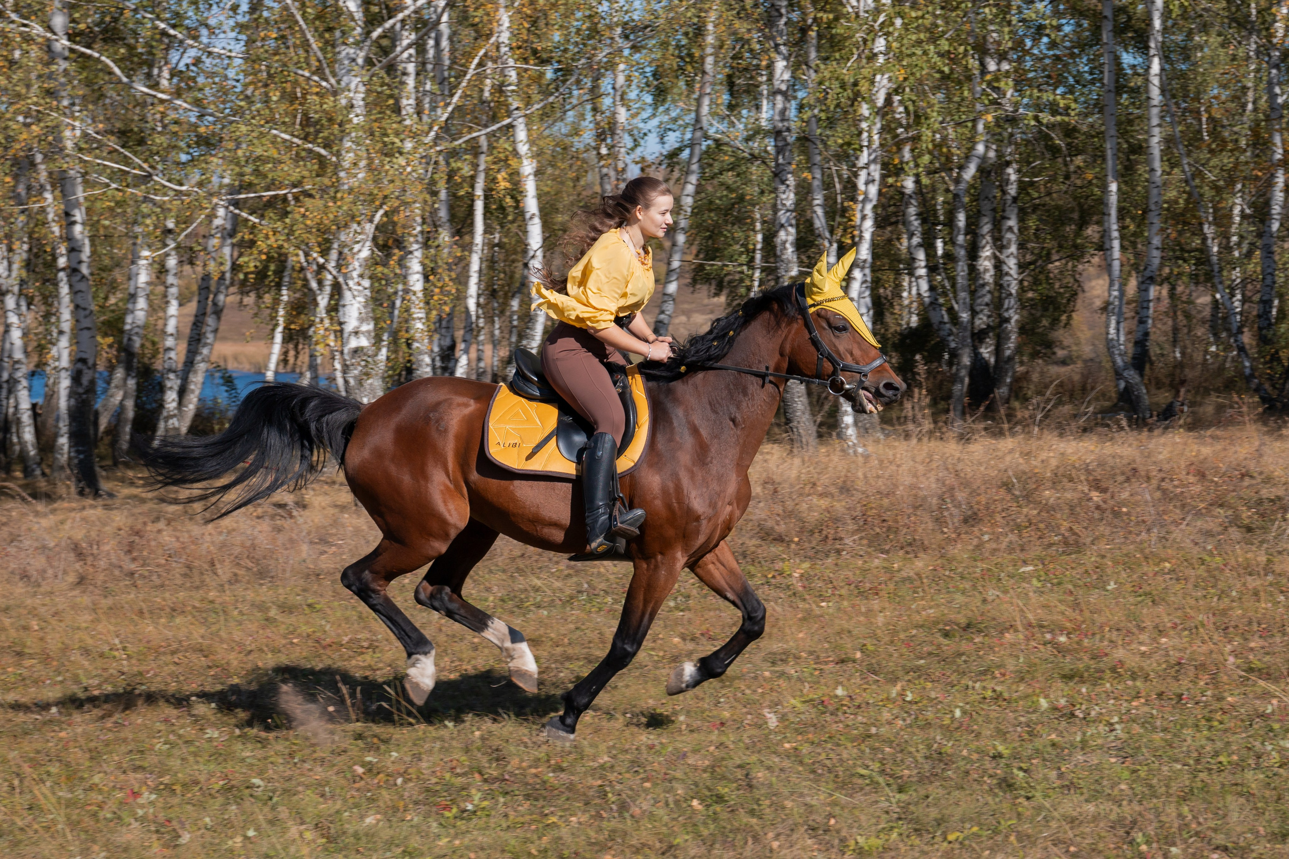 Фотосессия с лошадьми