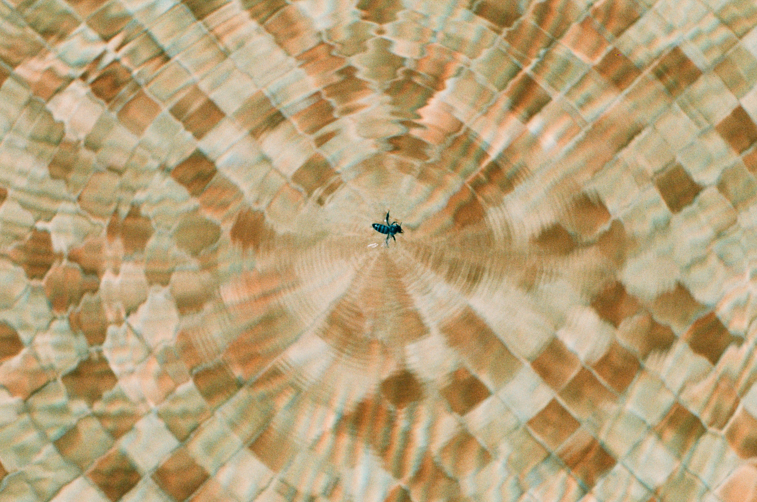 Пленка. Фотограф Елена Лаврова