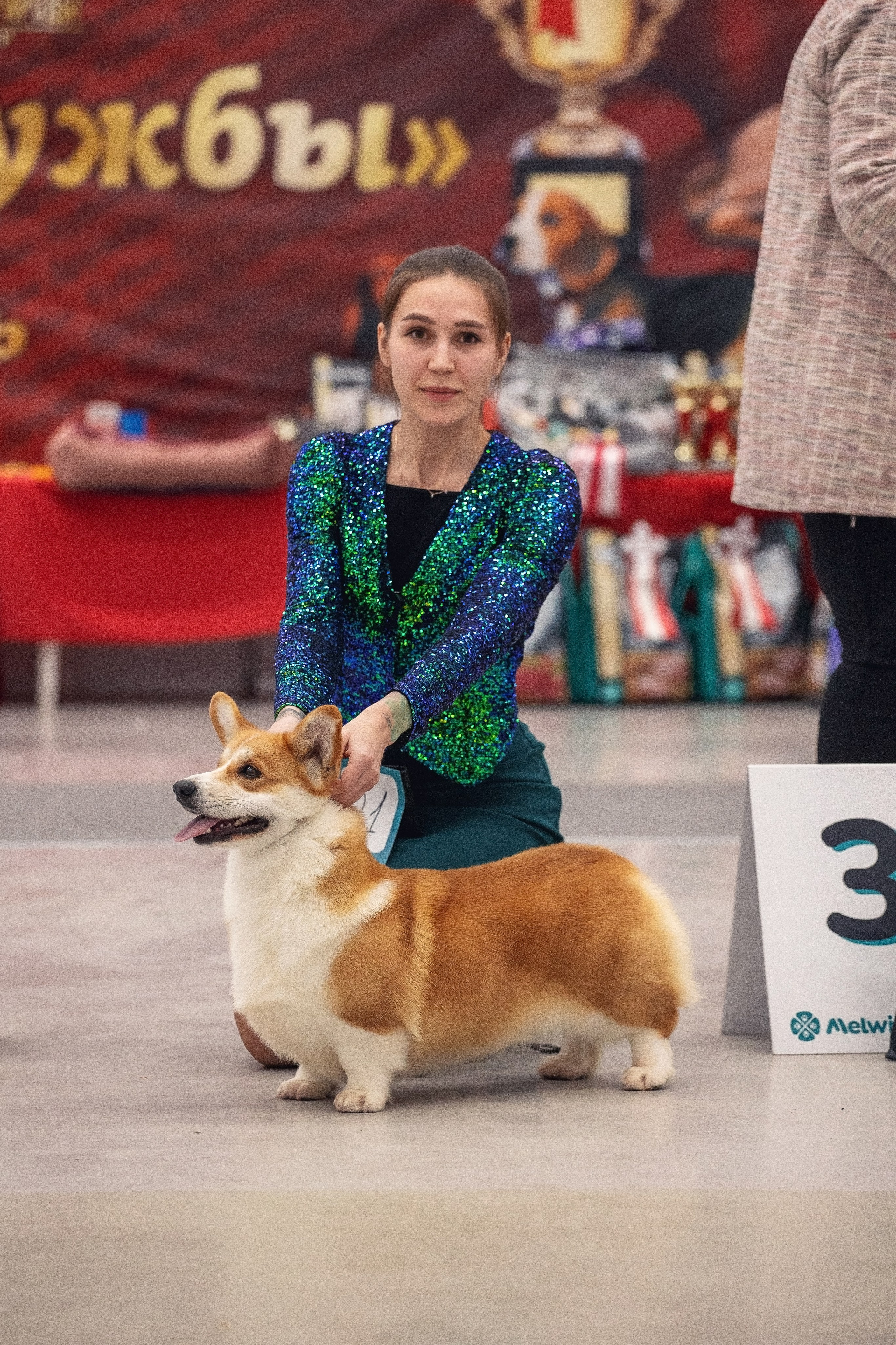 20.01. 2024 Тюмень. YULA KOLESOVA | Фотограф — Анималист | Художник | Тюмень