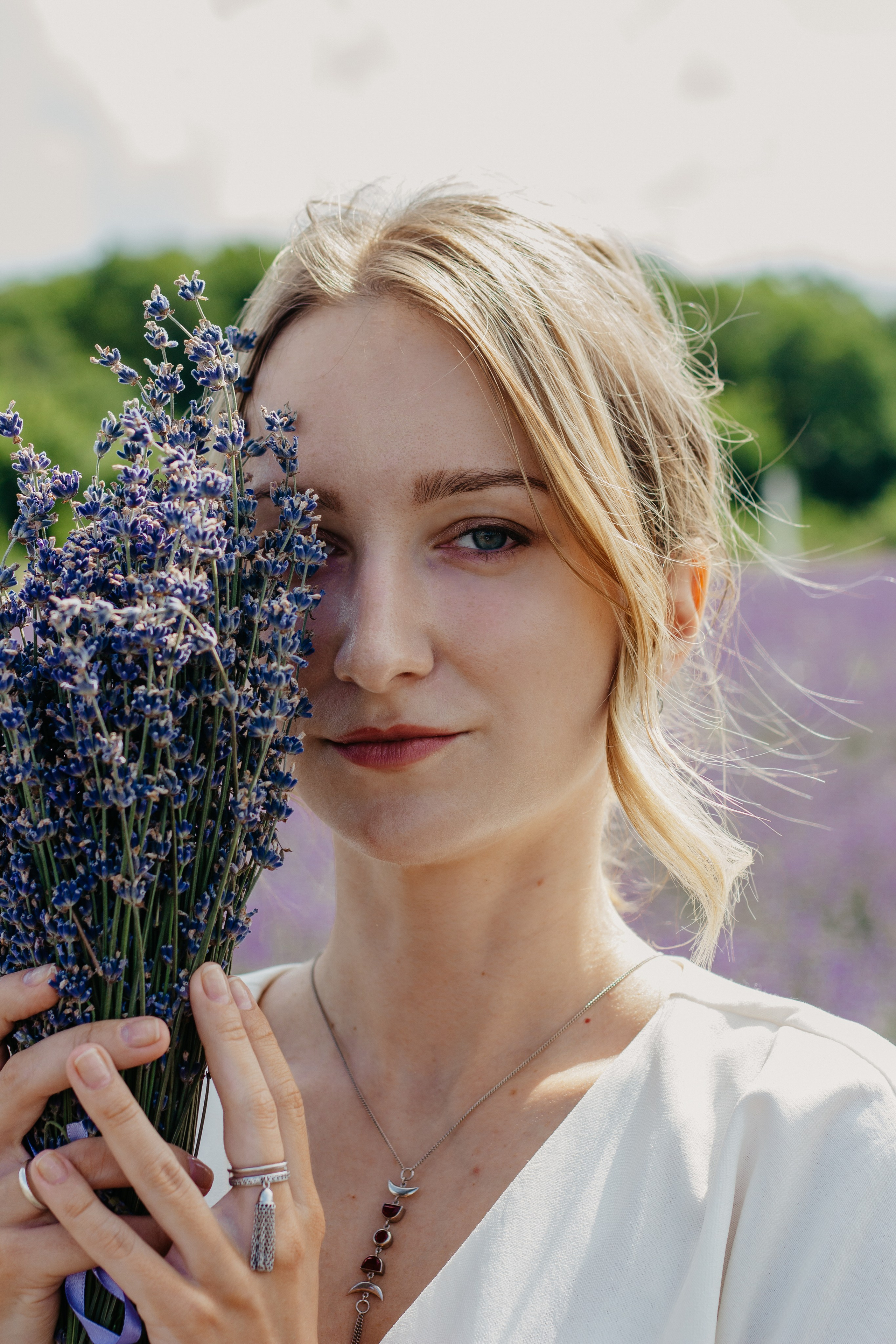 Лаванда. Главная