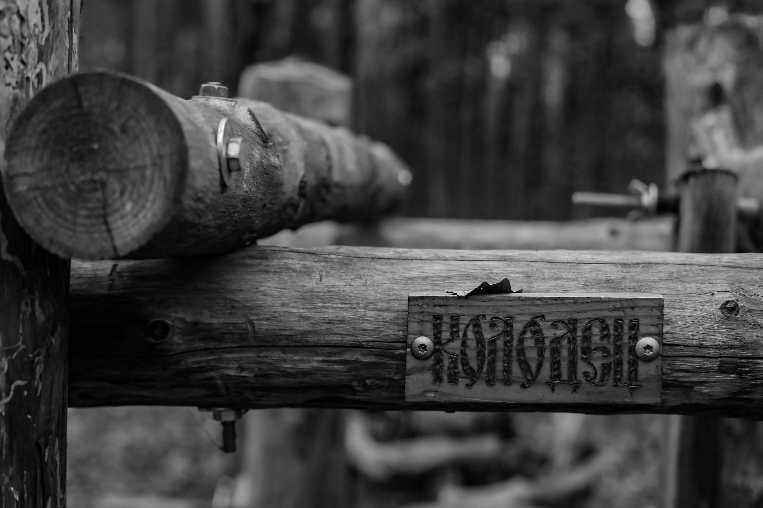 Качалка в лесу — 2022. Стас Привалов