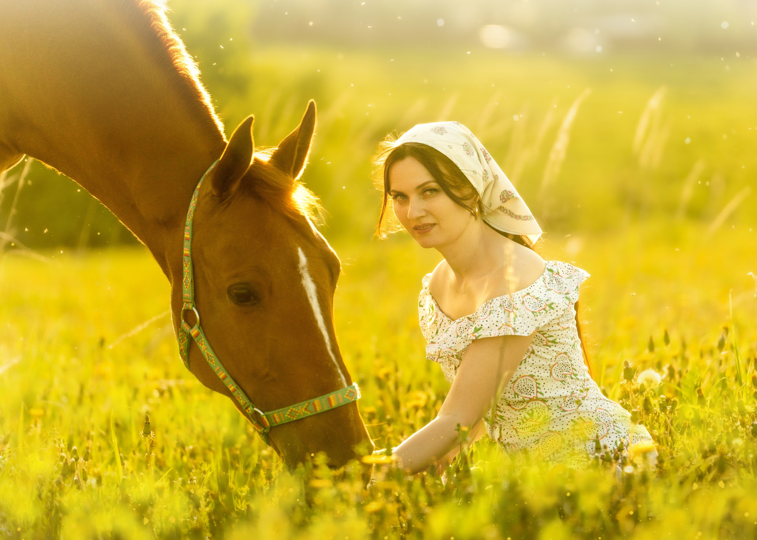 Поле. Фотограф Дарья Соколовская
