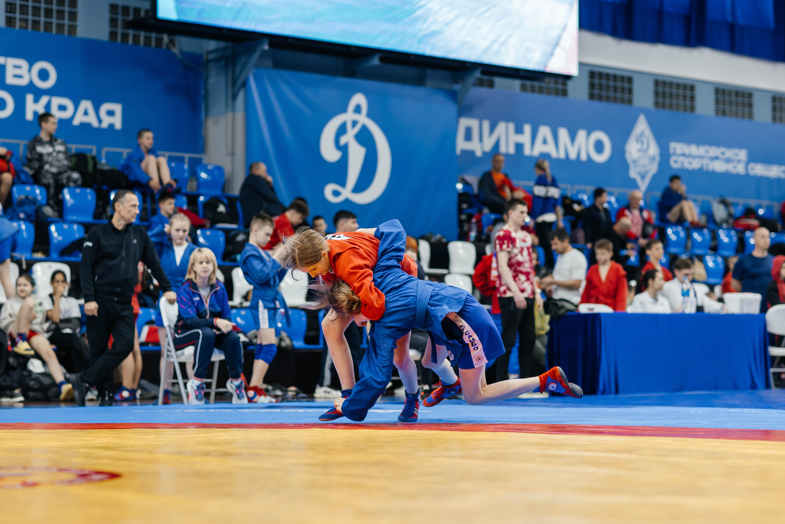 Sambo Championship. Maxim Tsoy Photography