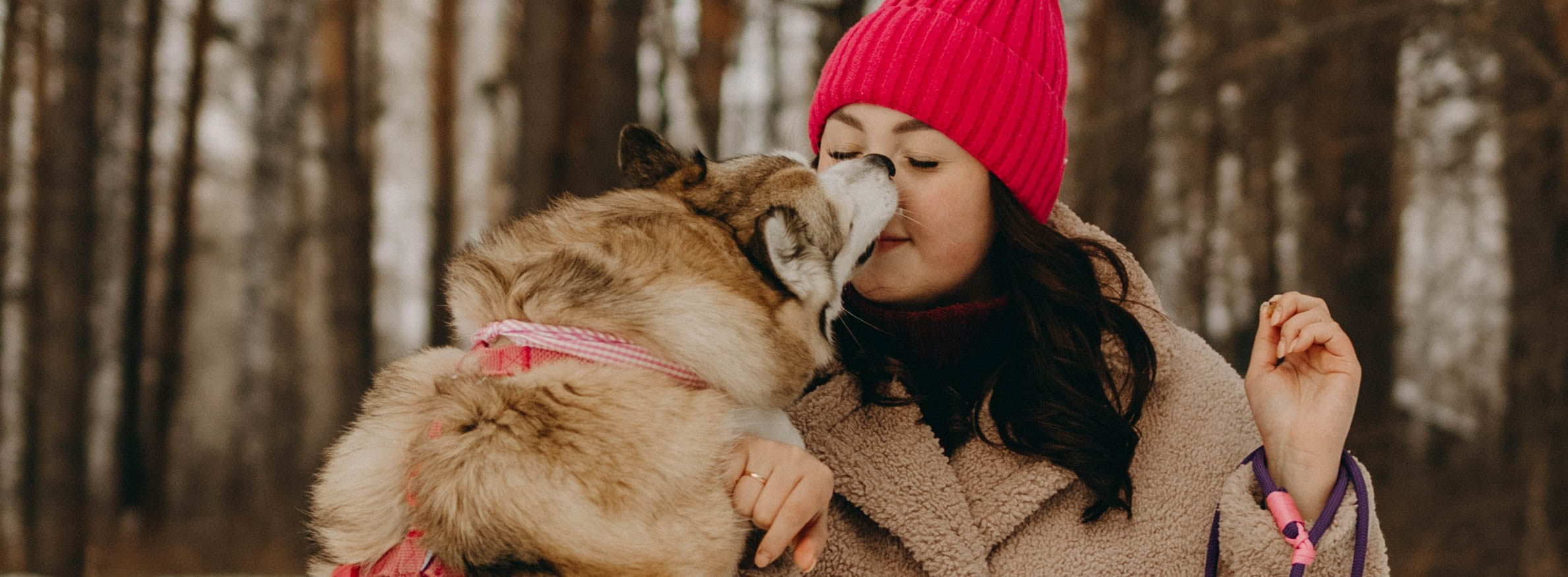 Варвара и Шелби. Фотограф-анималист в Екатеринбурге | Кристина