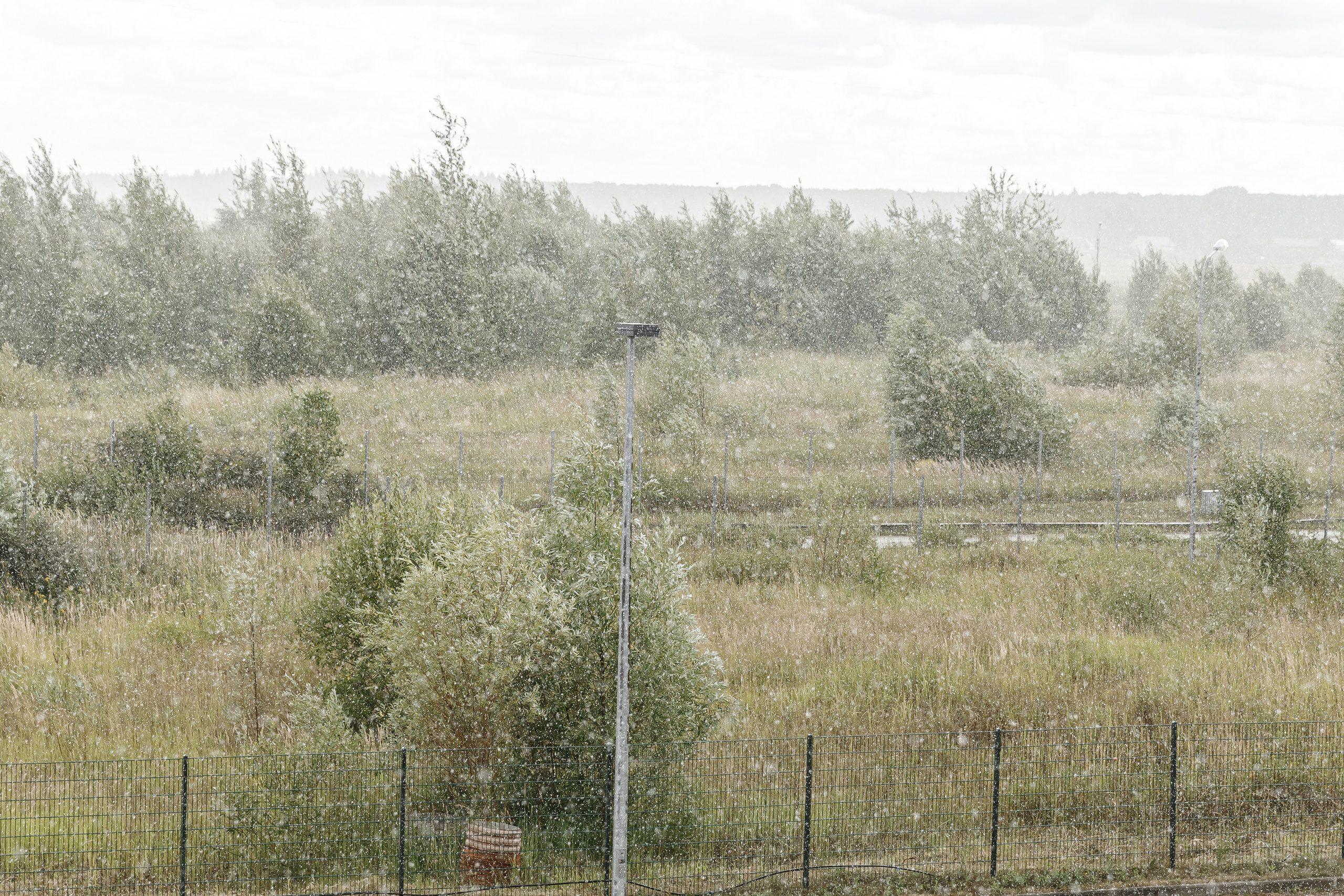 «Давай проведем этот день вместе» Wedding day Антон и Дарья. Свадебный фотограф Колесников Антон