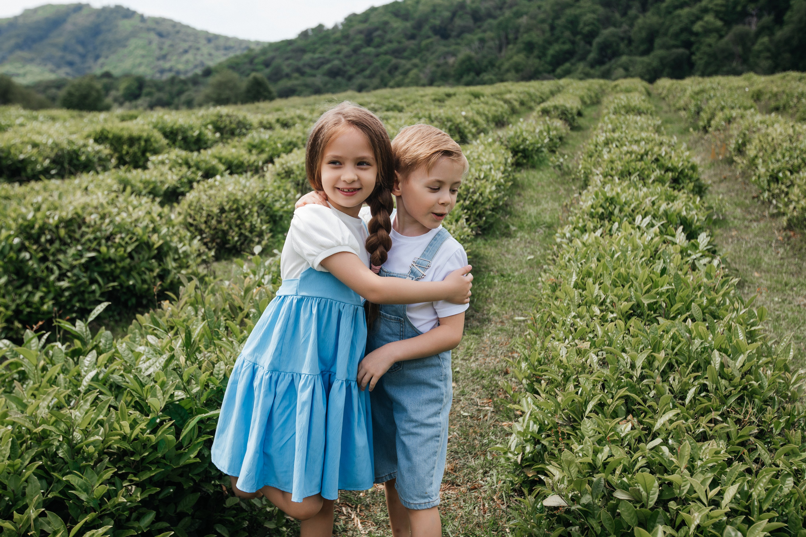 Tea plantation. Efimova Model Agency