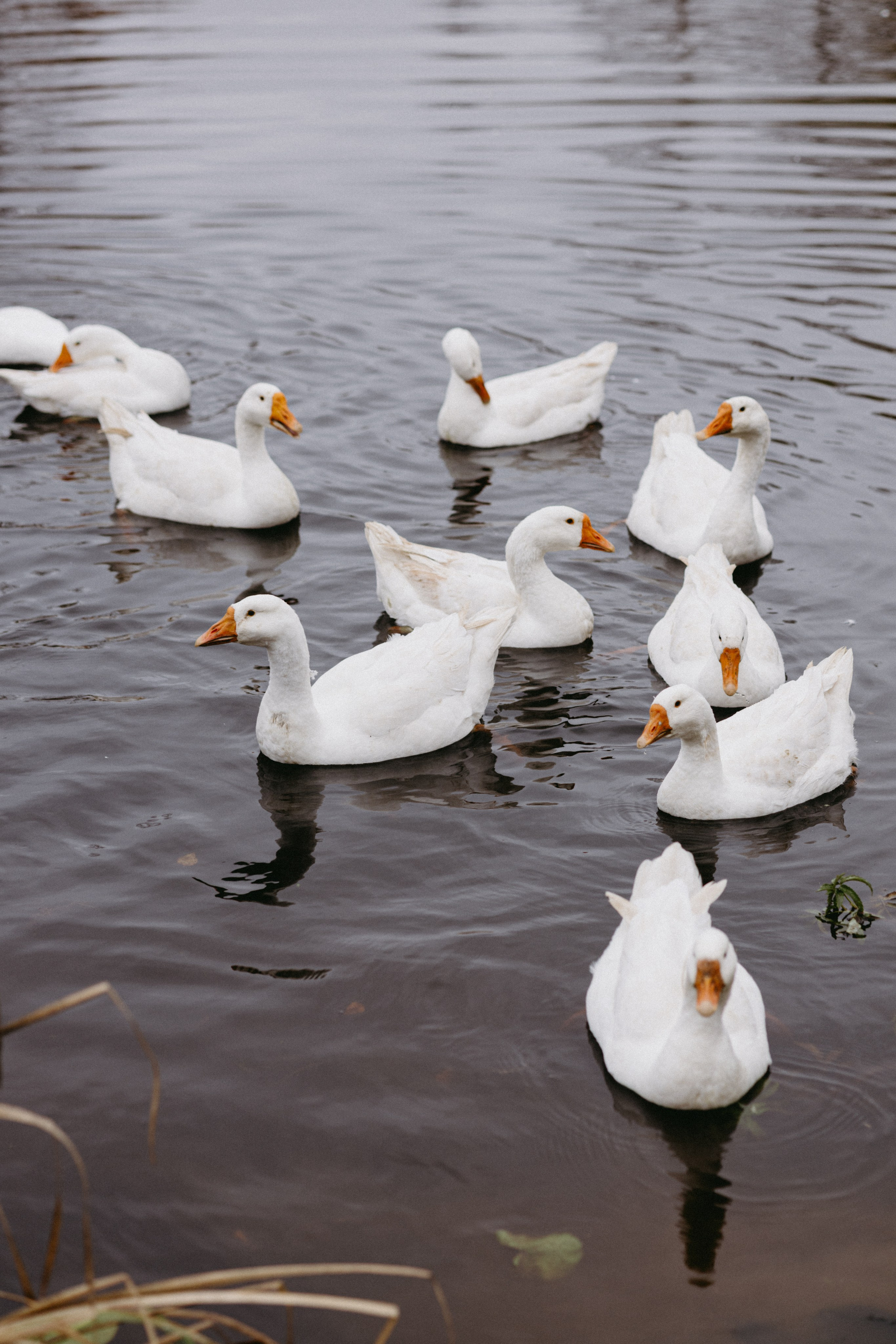 Новые земли. Про любовь