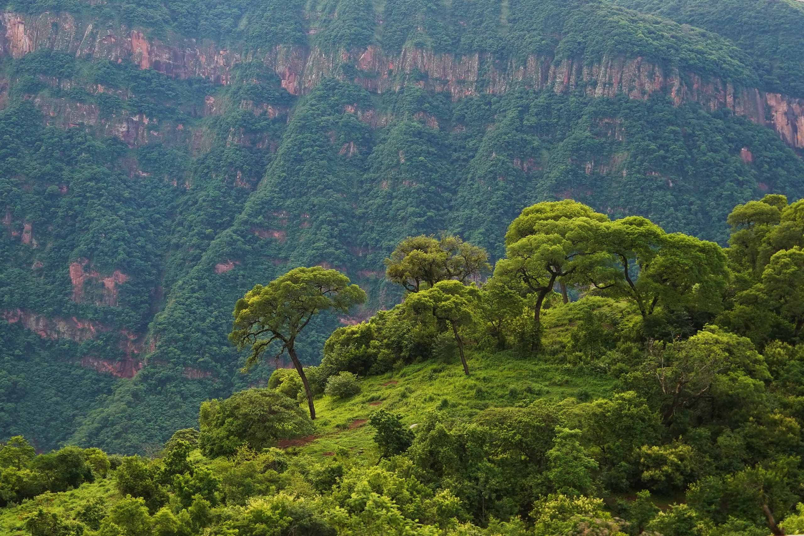 Купить фотографию пейзажа для интерьера