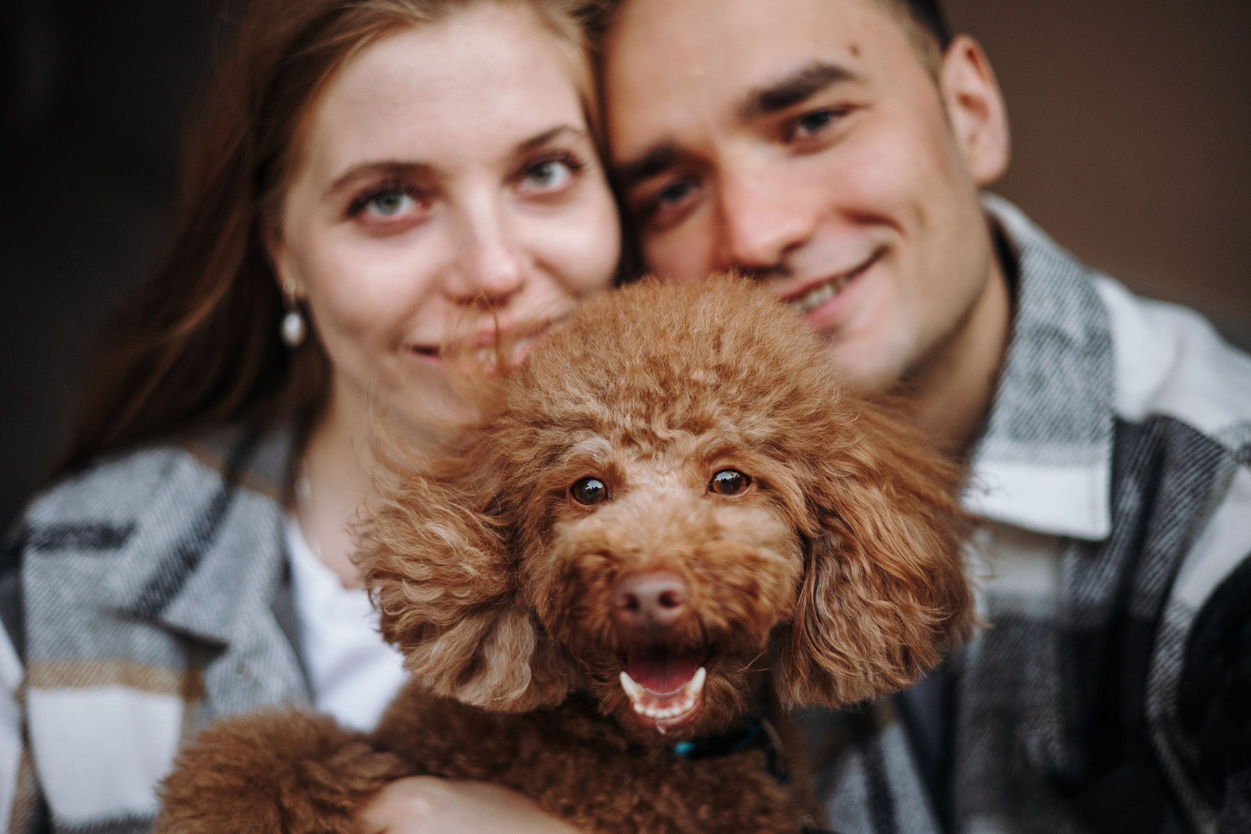 Барни и его семья. Фотограф — Анималист | Санкт-Петербург