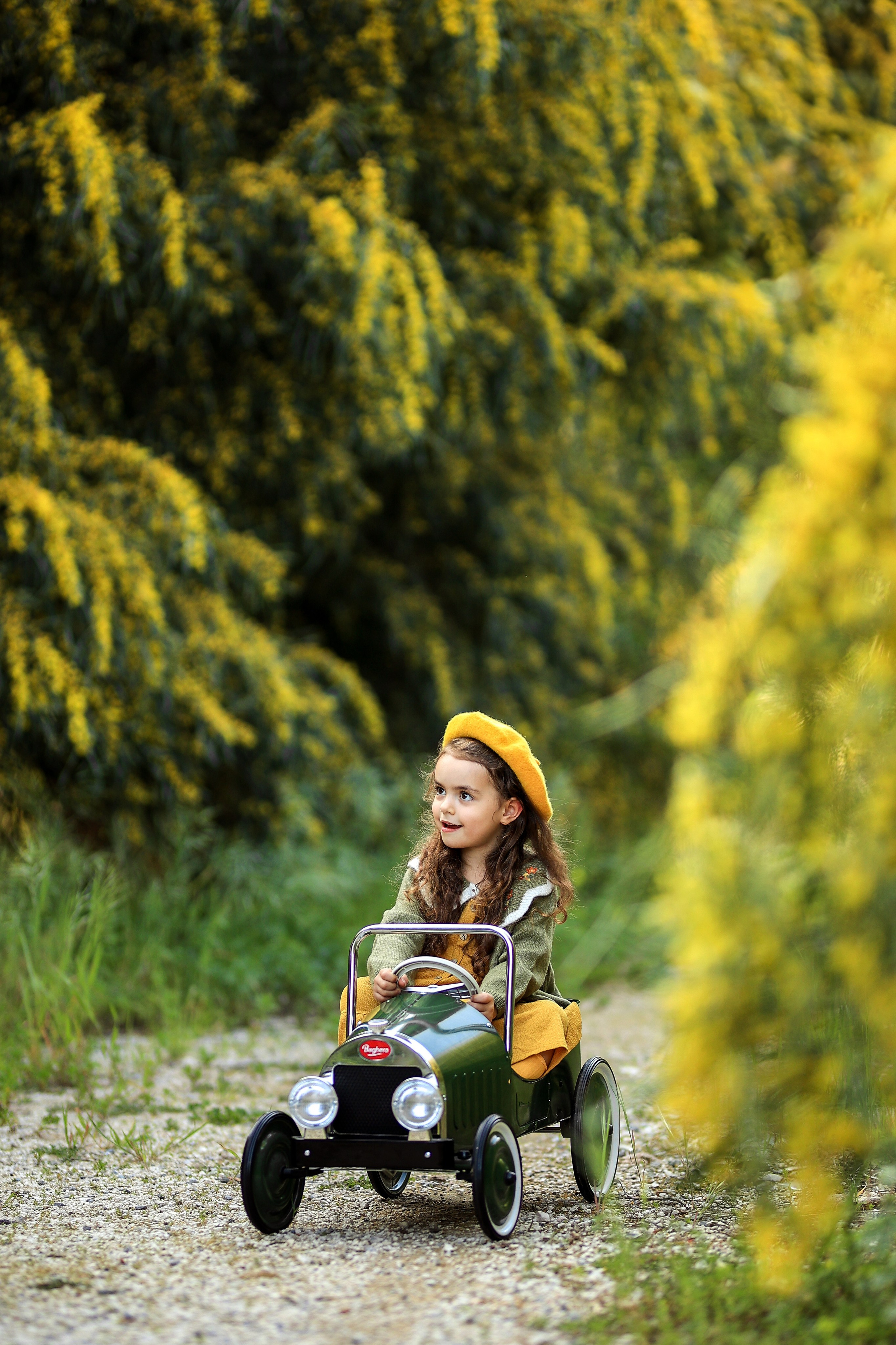 Photoshooting in mimosa