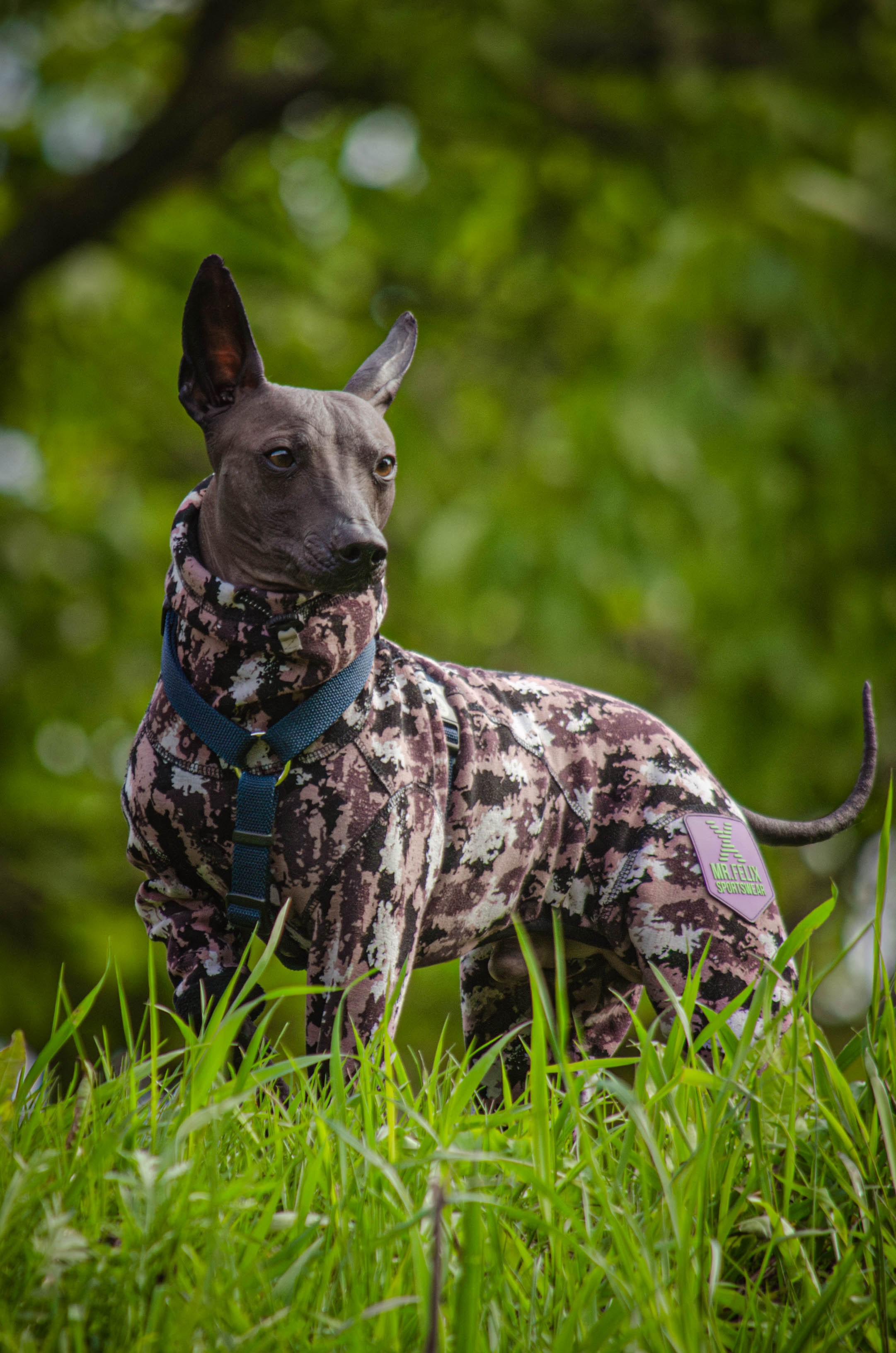 Сёма. Фотограф Светлана Блинова, Москва и Московская область
