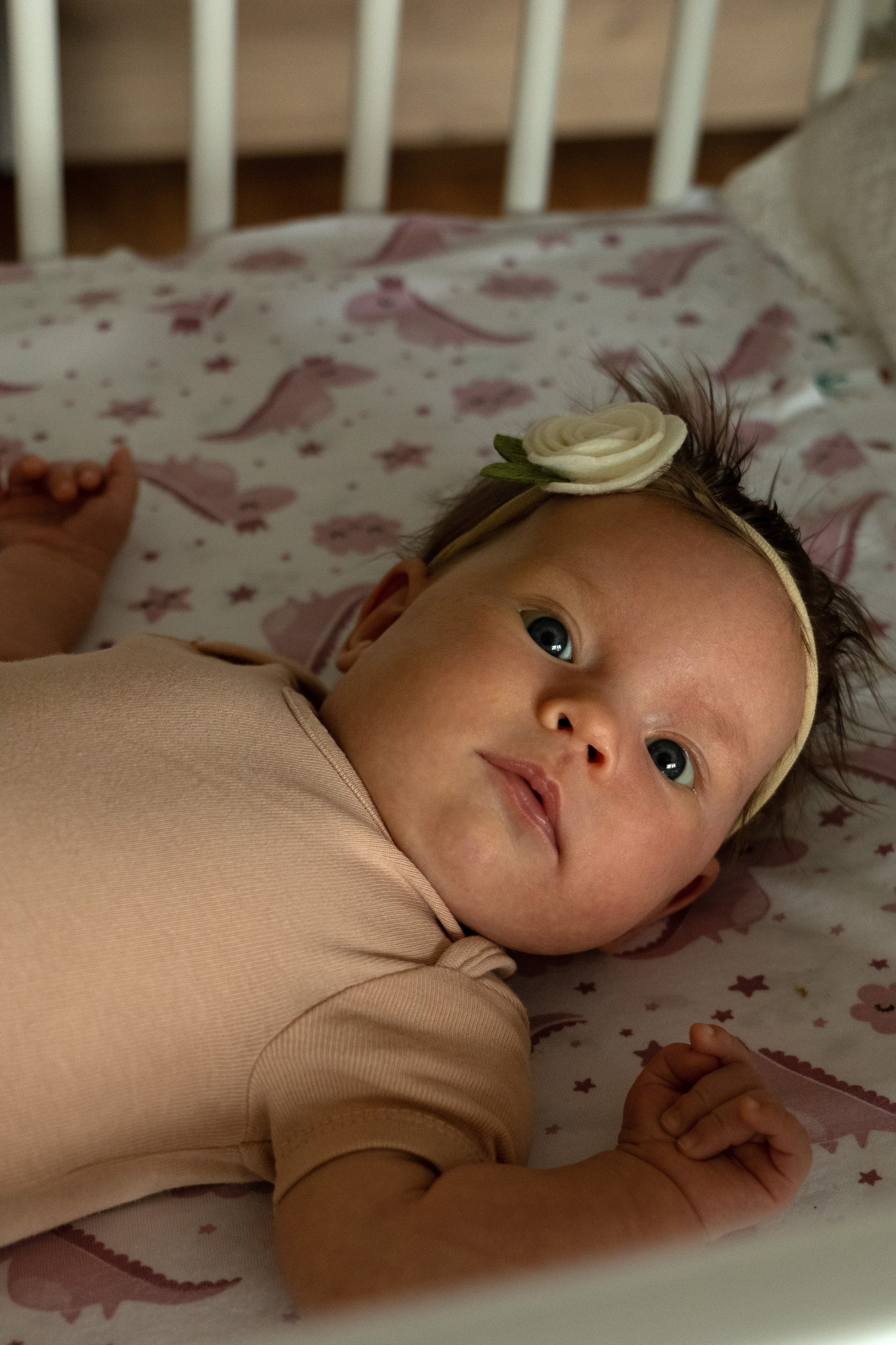 Твой первый месяц. Фотограф видеограф Ольга Василевская