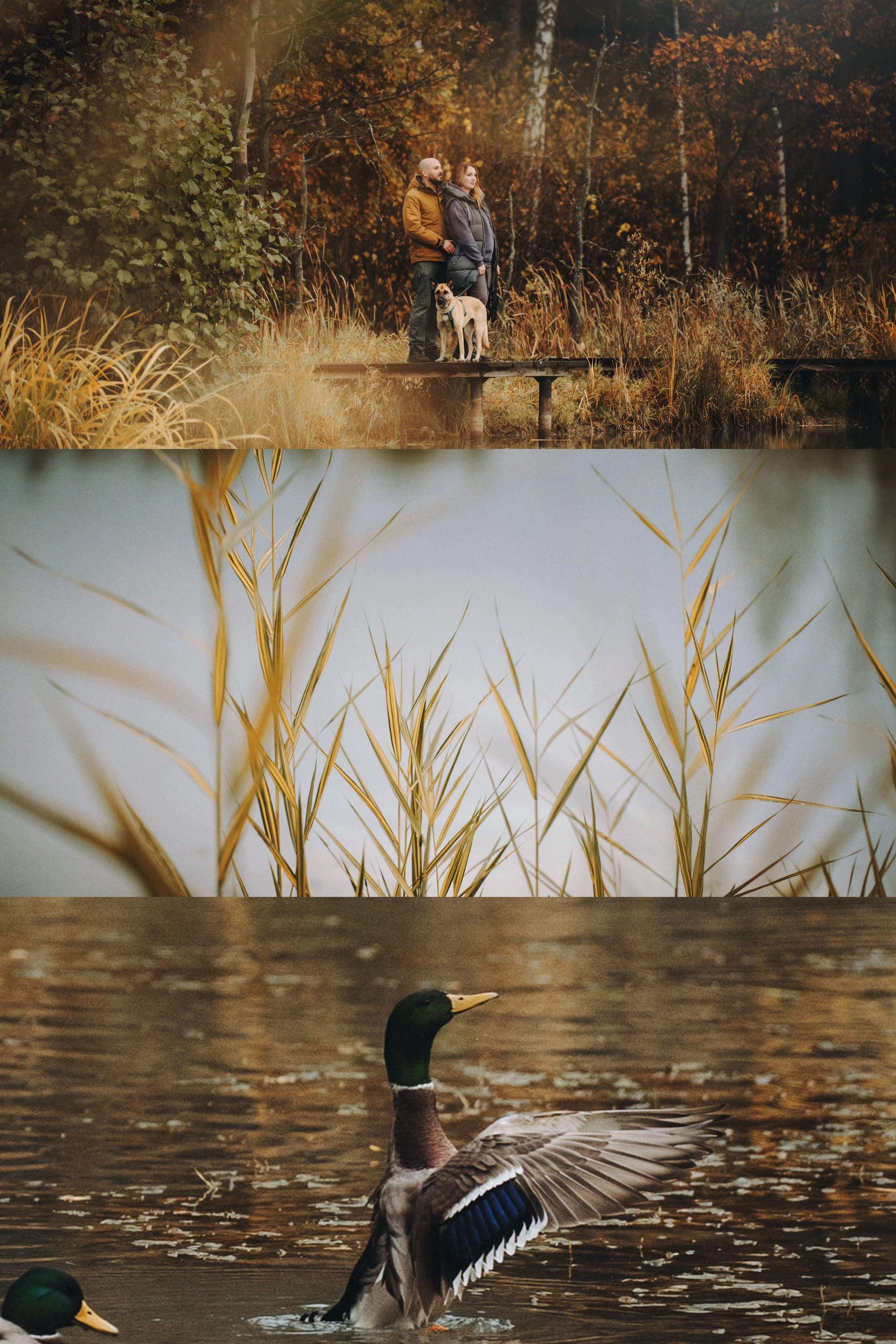 Наталия, Иван и Урса. Фотограф анималист в Москве и Санкт-Петербурге Свиридова Анна
