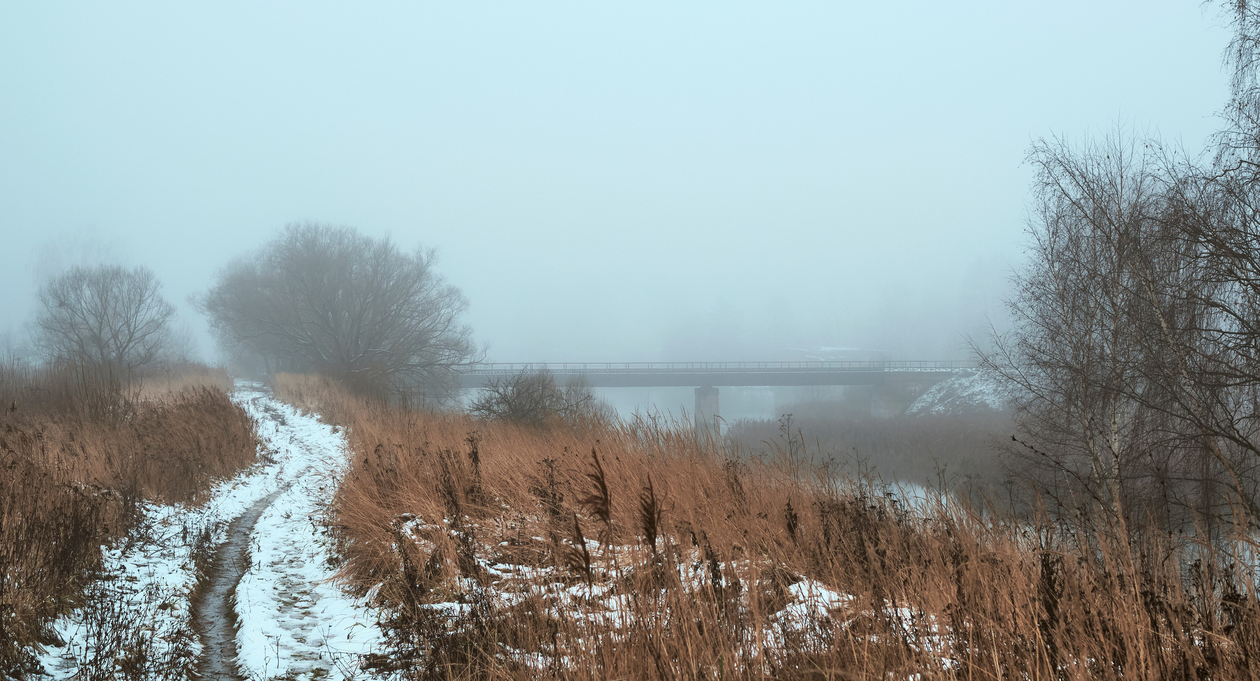 Съемкав туман. Фотограф для маркетплейсов в Иваново | Съемки одежды и белья