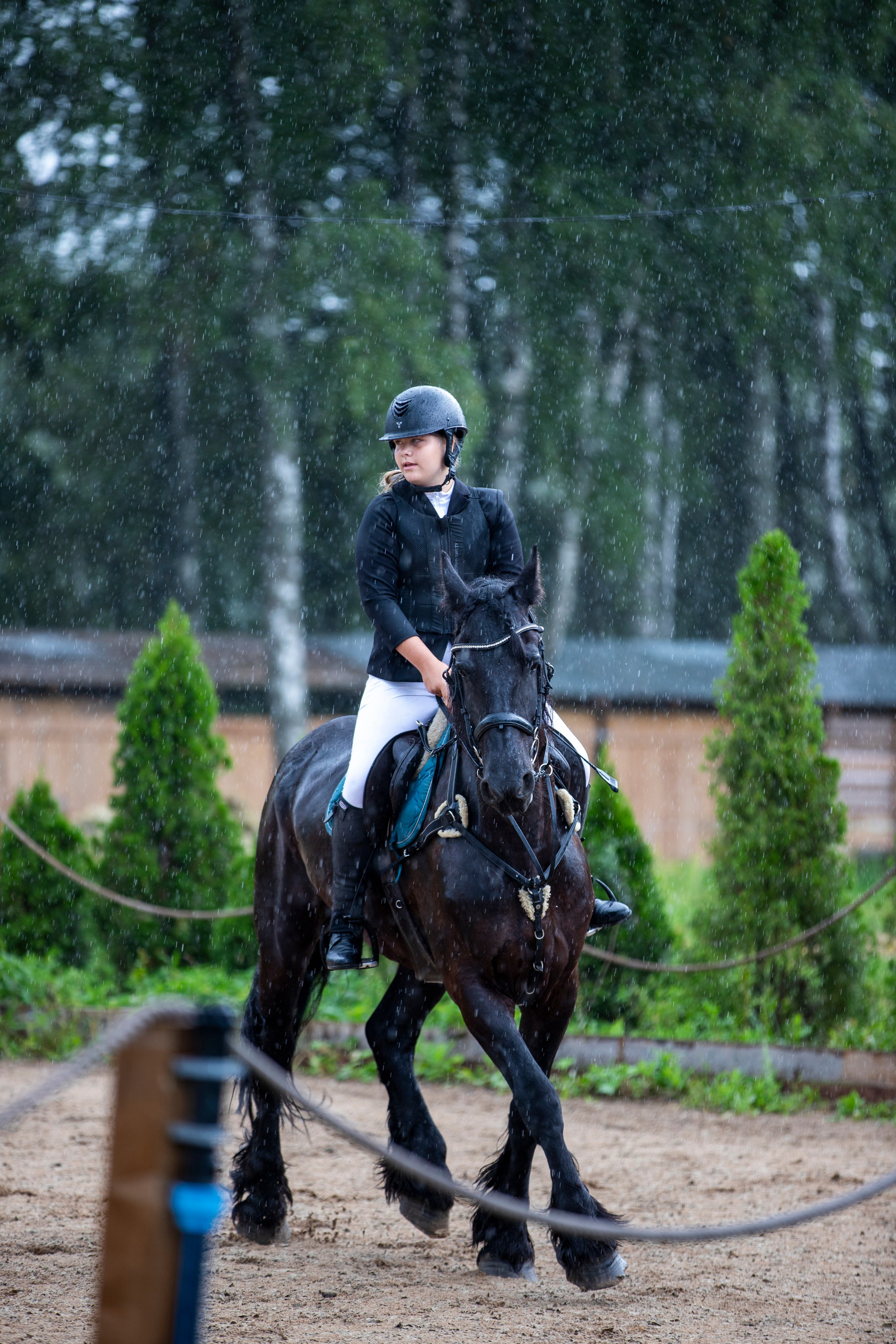 С лошадьми. Фотограф в Москве и в Московской области Сандра