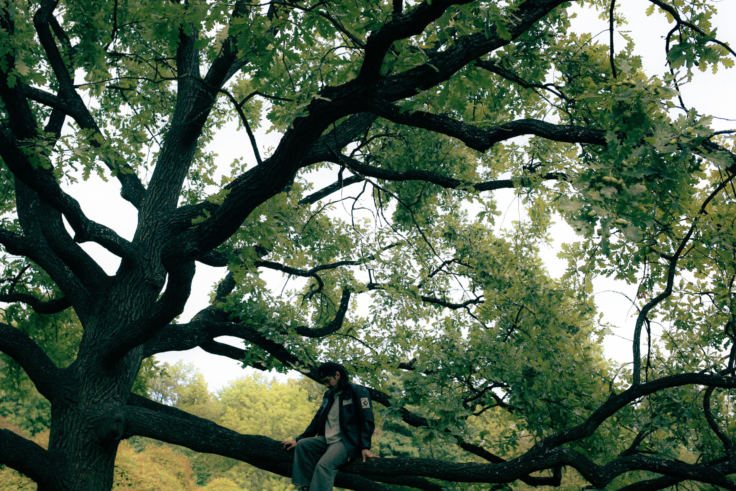 Walk. Валерия Трофимова ФОТОГРАФ|Санкт-Петербург |Крым