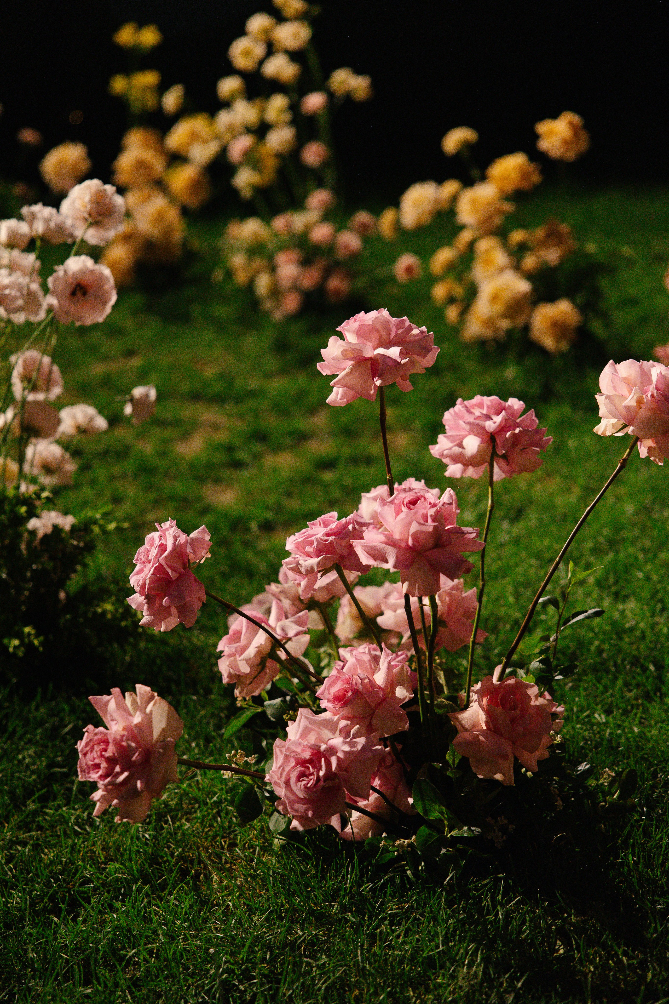 Максим и Александра. Свадебный фотограф Полина Панина