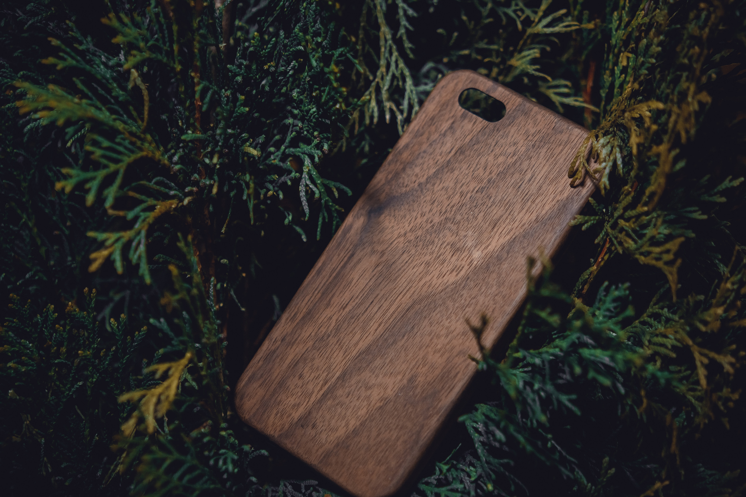 Работа с брендами. Анна Абрамкина душевный фотограф в Москве